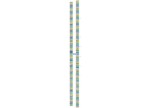 开开心心每一天的短句精选21句