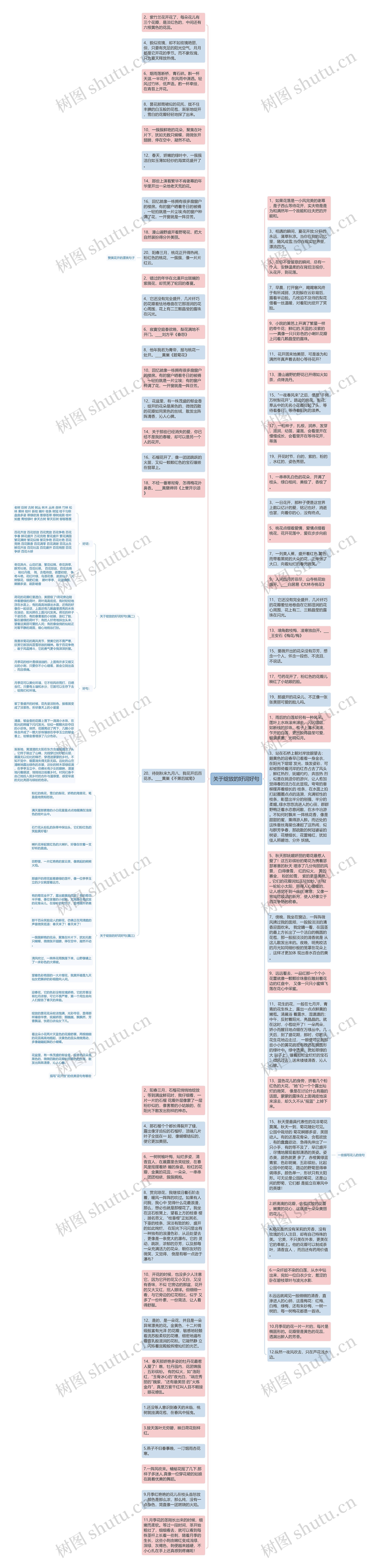 关于绽放的好词好句思维导图