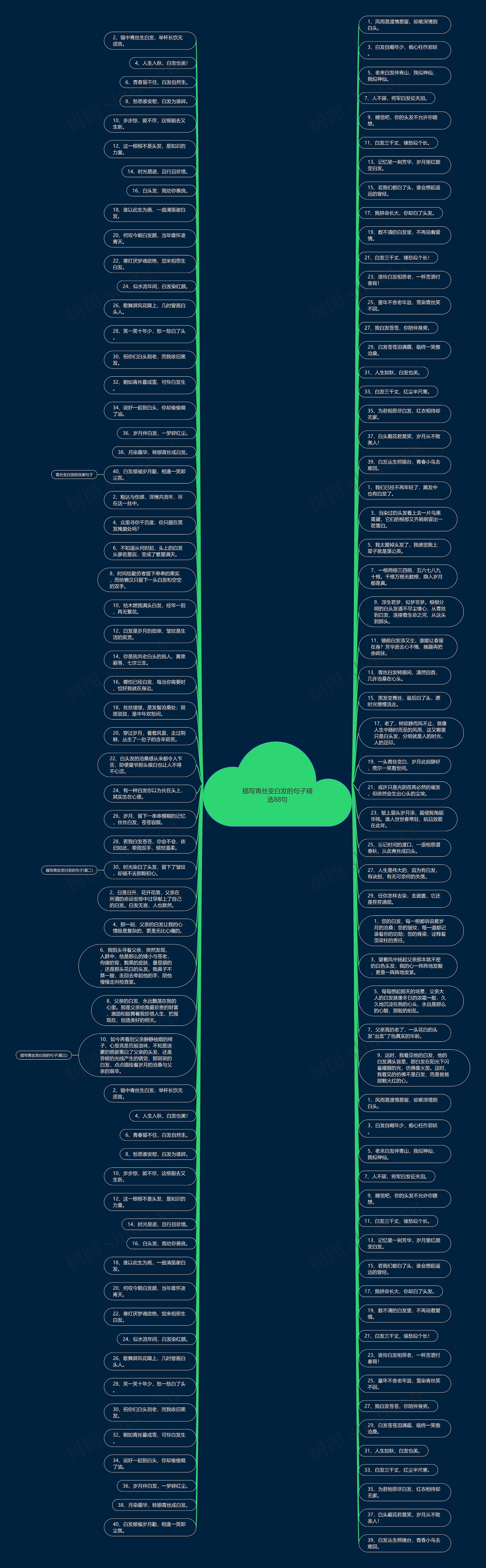 描写青丝变白发的句子精选88句思维导图