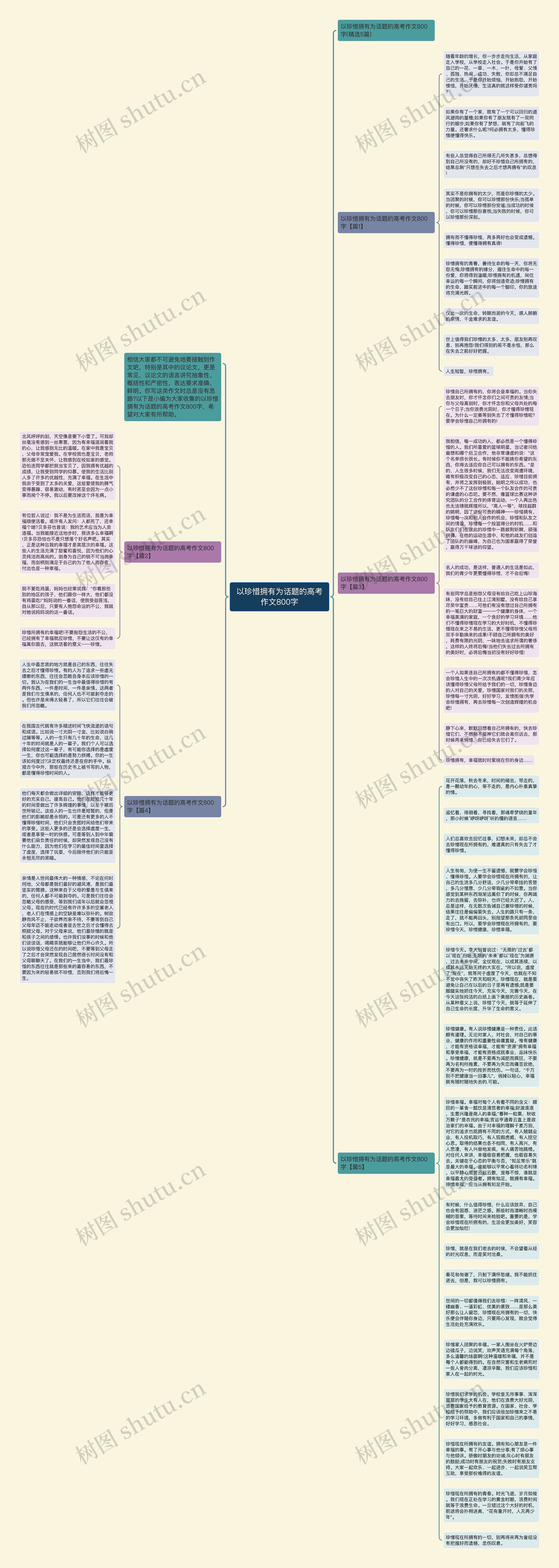 以珍惜拥有为话题的高考作文800字思维导图