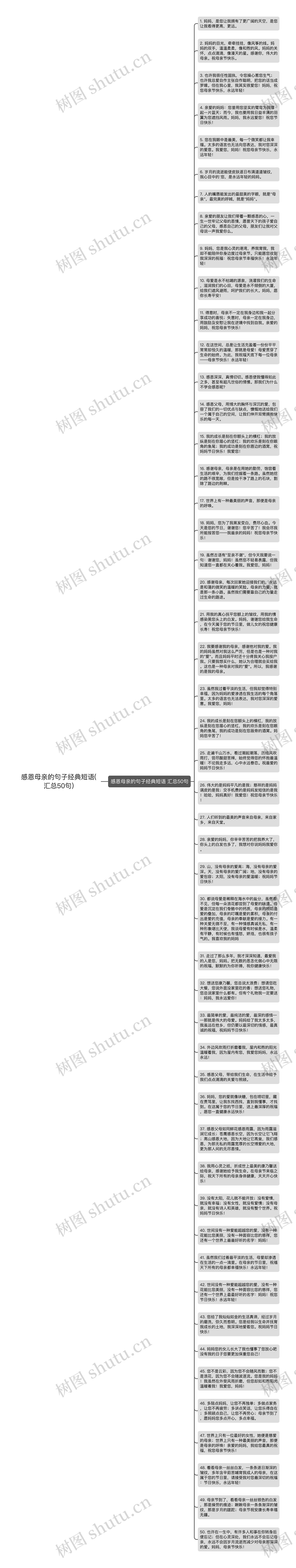 感恩母亲的句子经典短语(汇总50句)思维导图