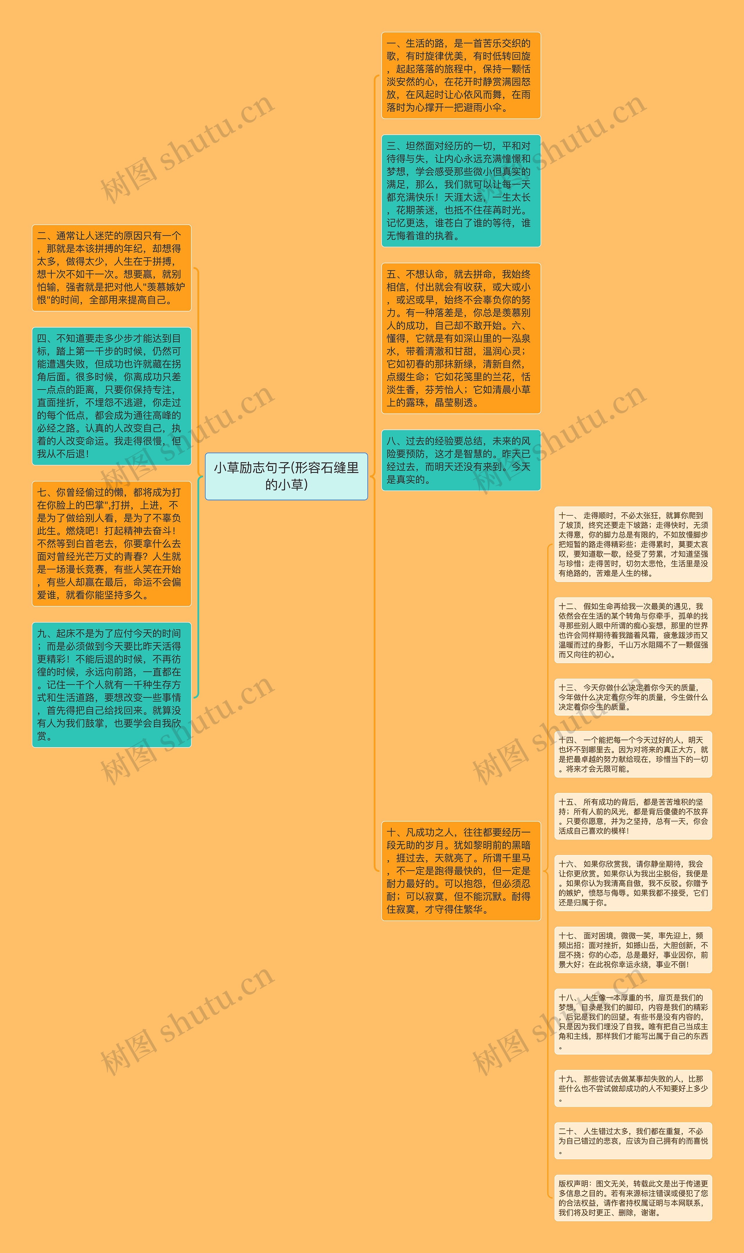 小草励志句子(形容石缝里的小草)思维导图