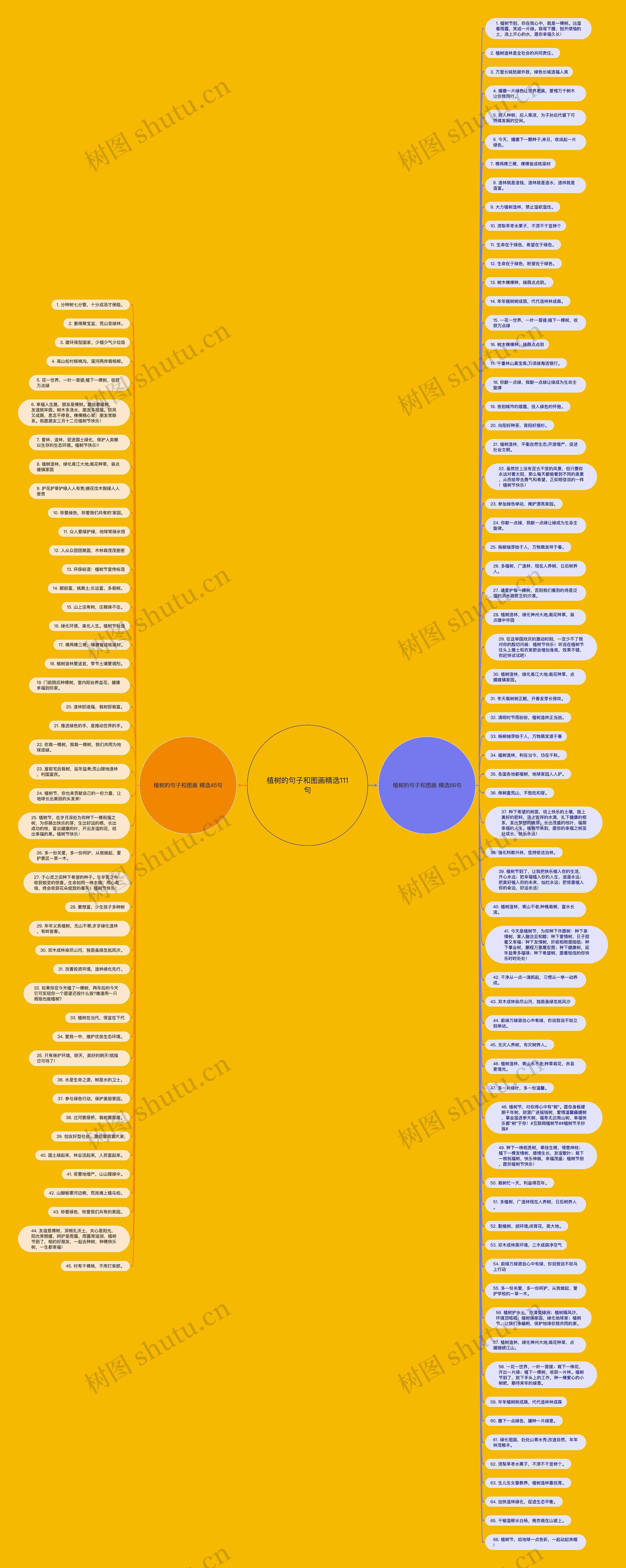 植树的句子和图画精选111句思维导图