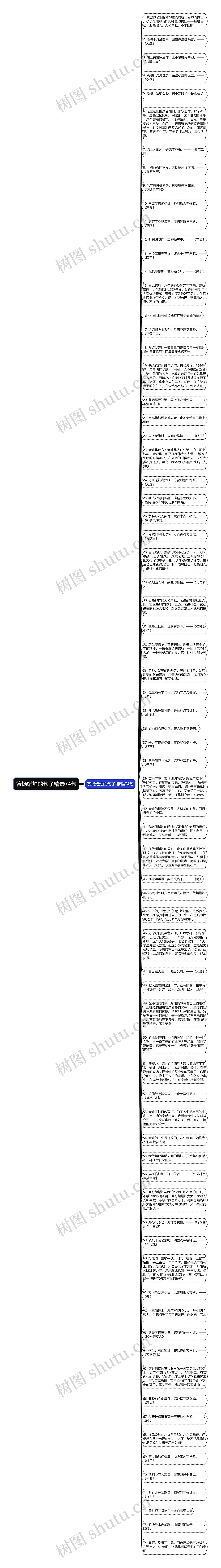 赞扬蜡烛的句子精选74句