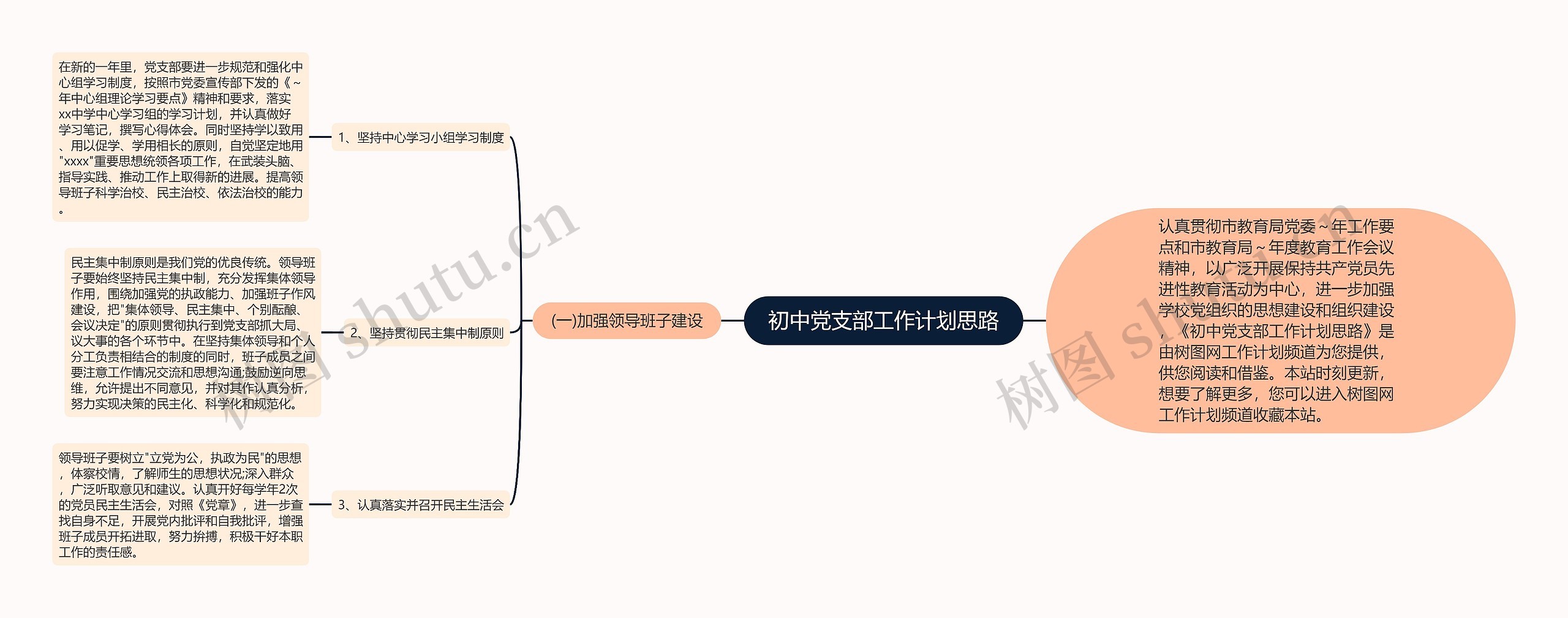 初中党支部工作计划思路