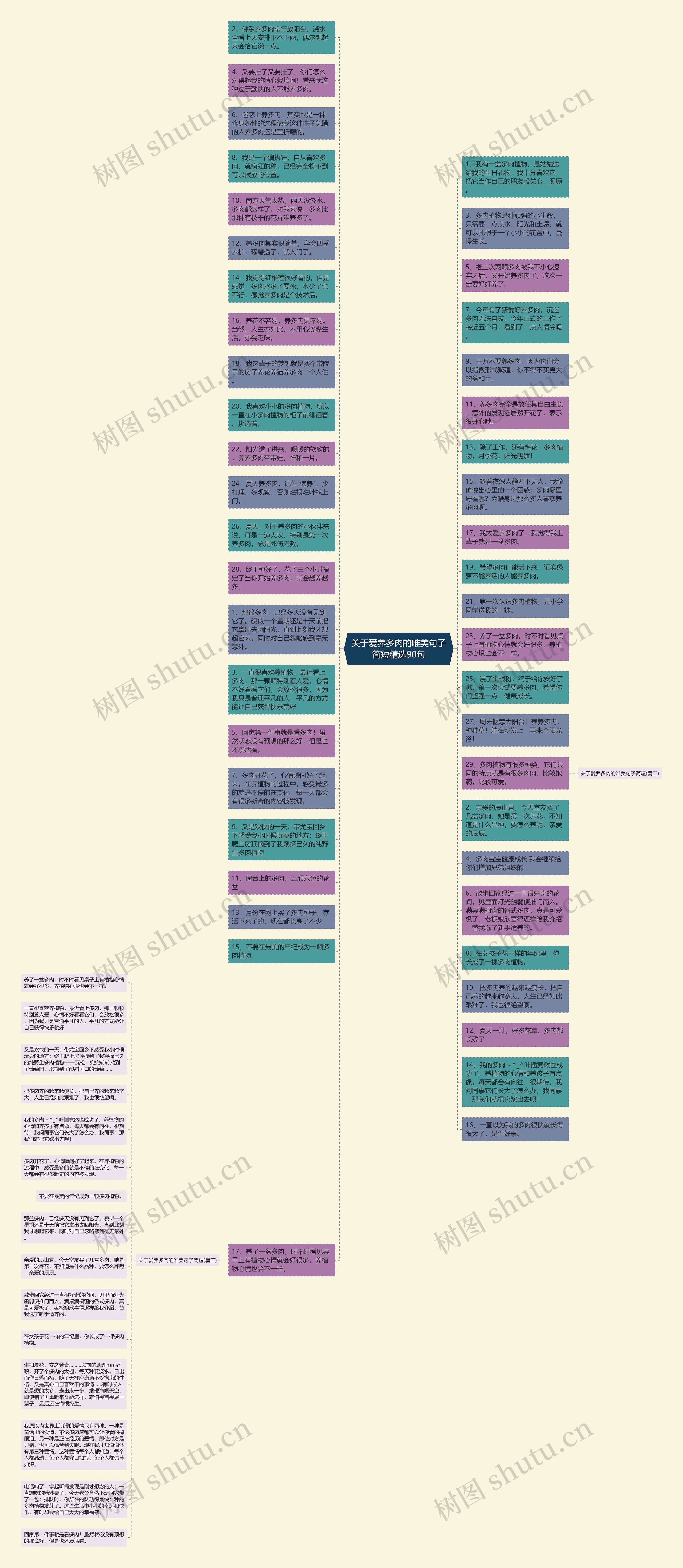 关于爱养多肉的唯美句子简短精选90句思维导图
