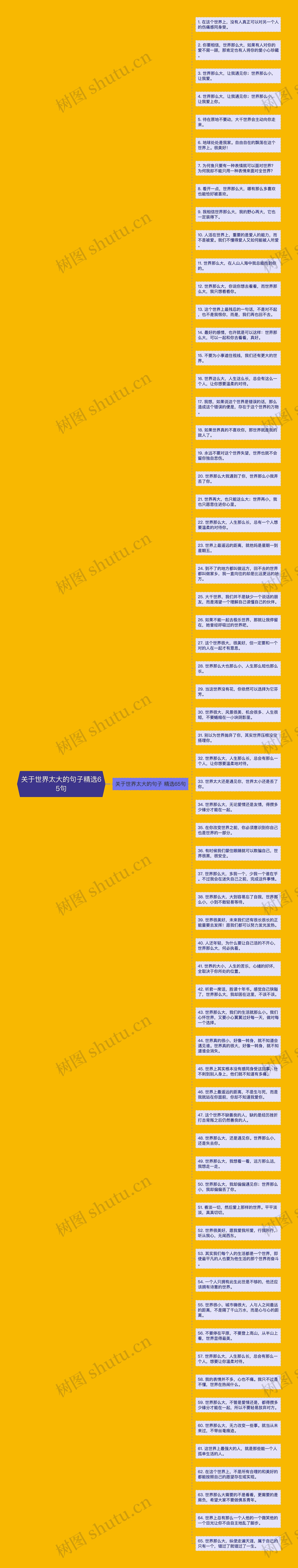关于世界太大的句子精选65句