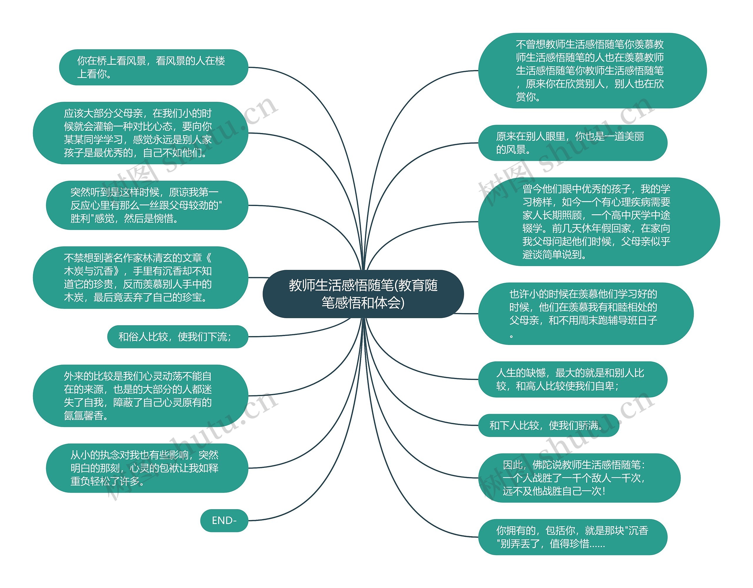 教师生活感悟随笔(教育随笔感悟和体会)