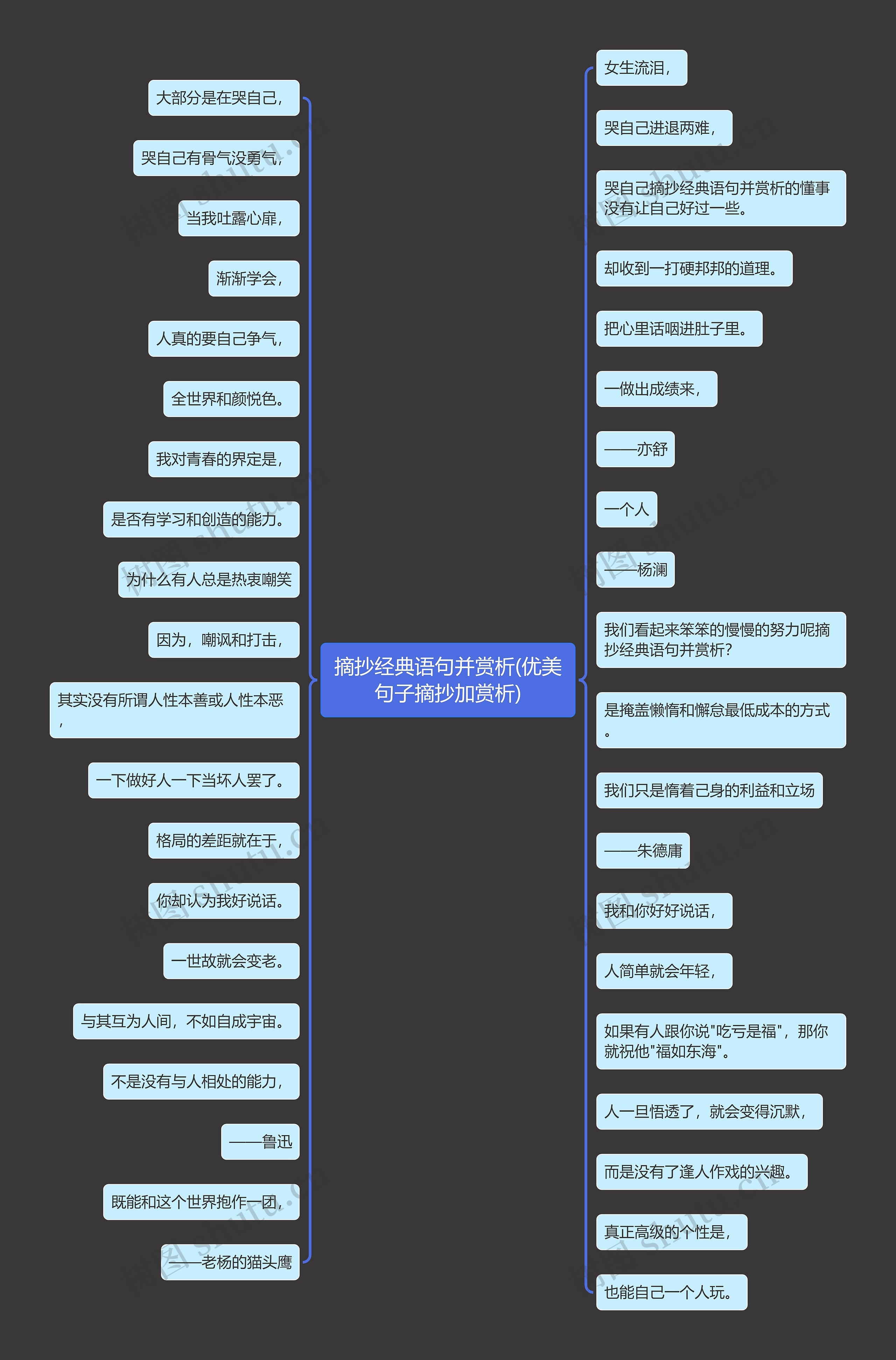 摘抄经典语句并赏析(优美句子摘抄加赏析)