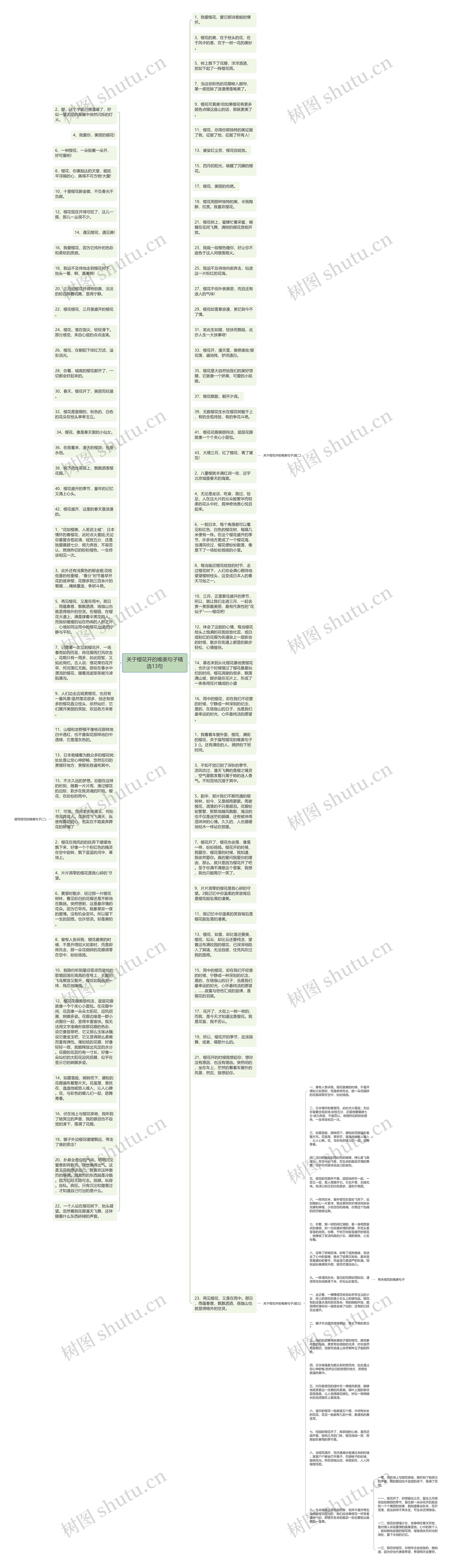 关于樱花开的唯美句子精选13句思维导图