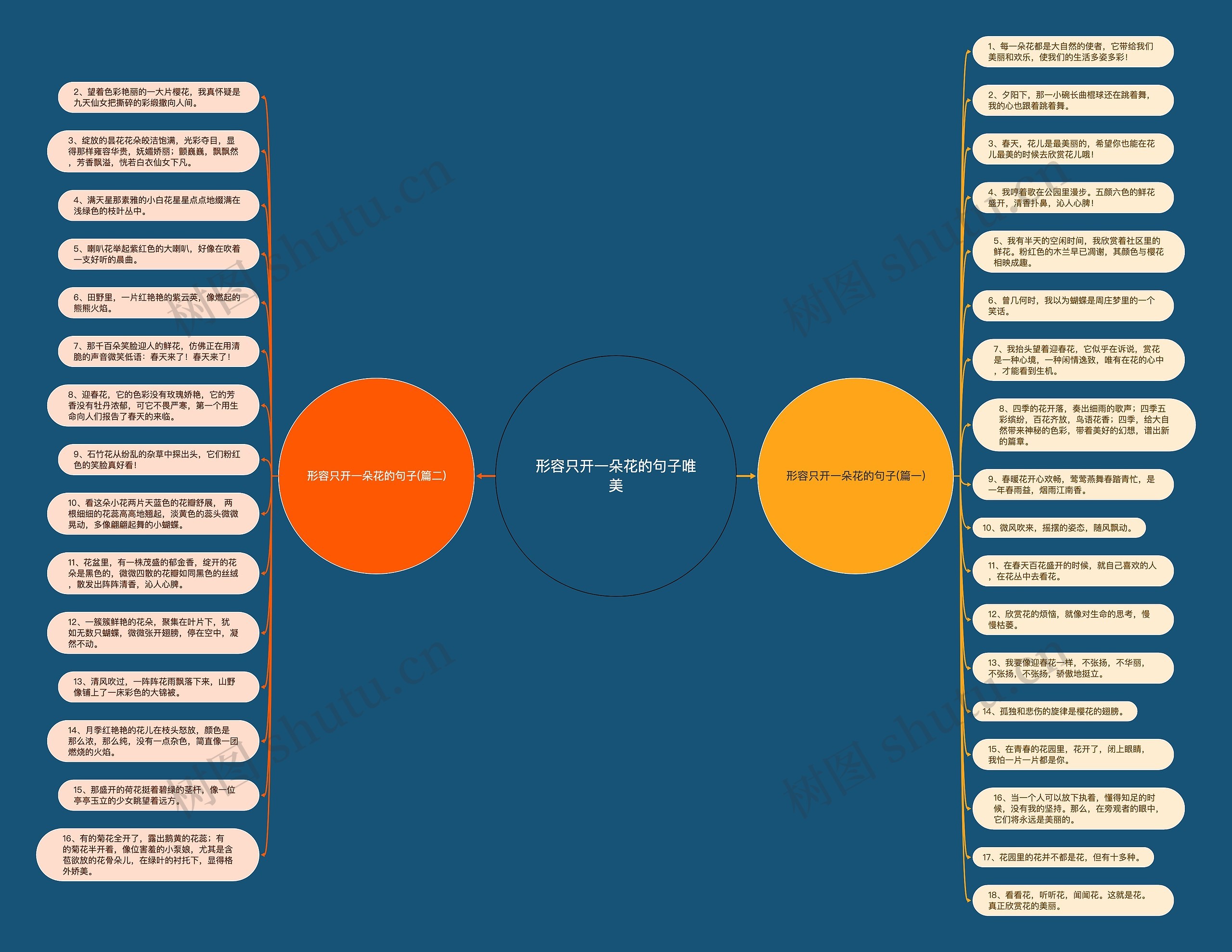 形容只开一朵花的句子唯美思维导图