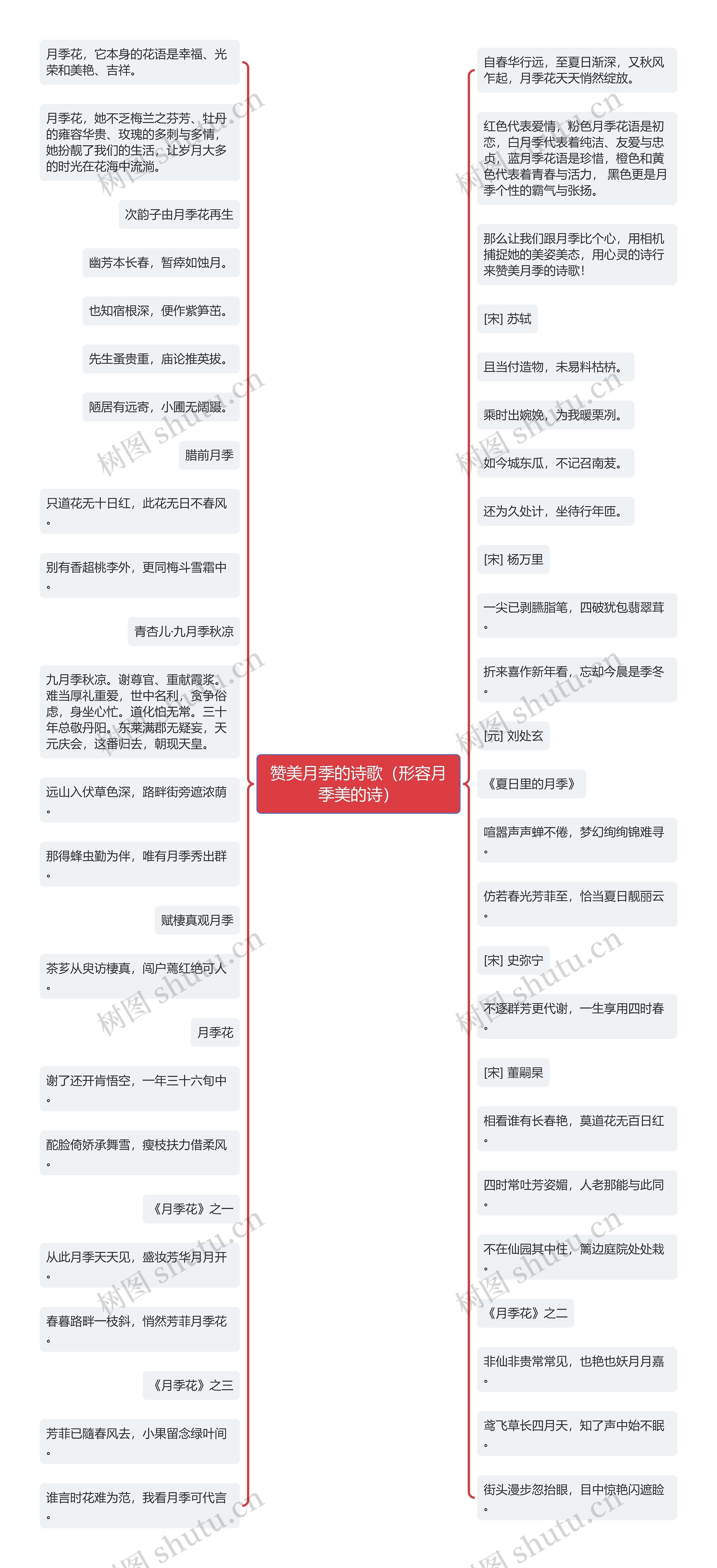 赞美月季的诗歌（形容月季美的诗）思维导图