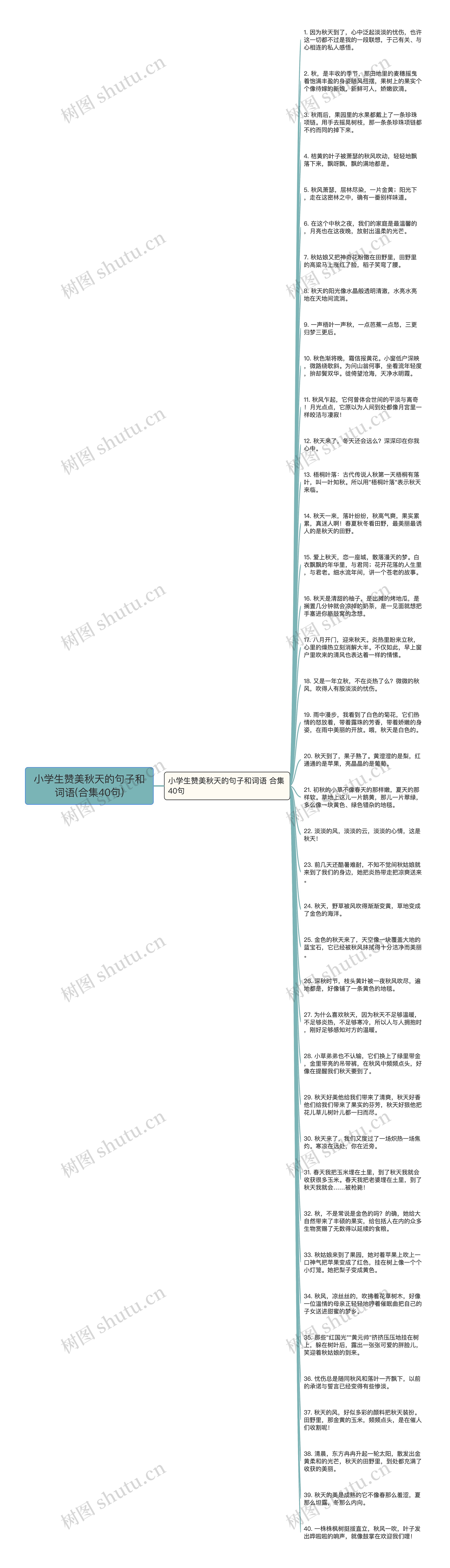 小学生赞美秋天的句子和词语(合集40句)思维导图