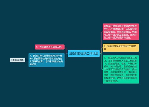 县委财务出纳工作计划