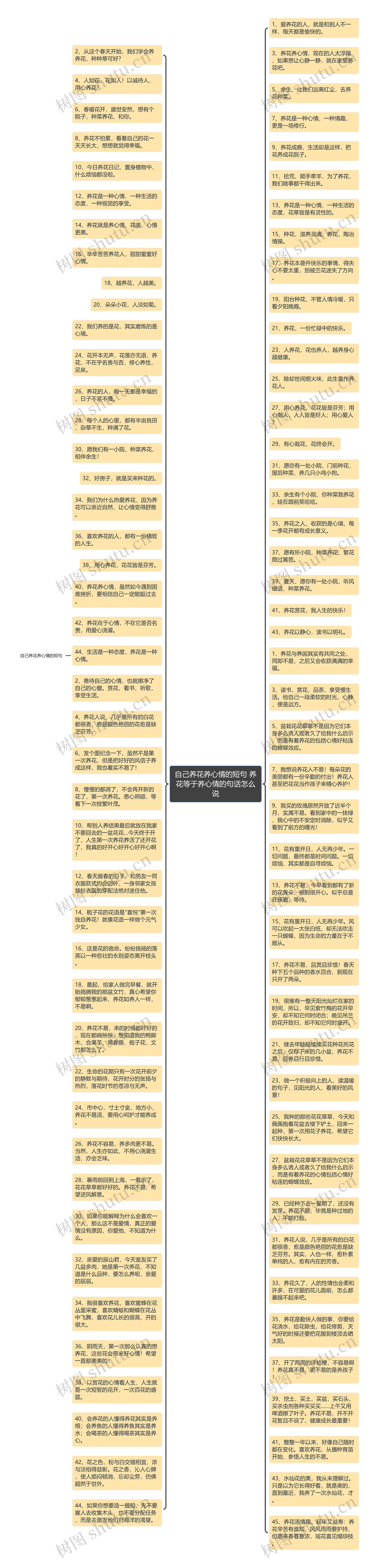 自己养花养心情的短句 养花等于养心情的句话怎么说