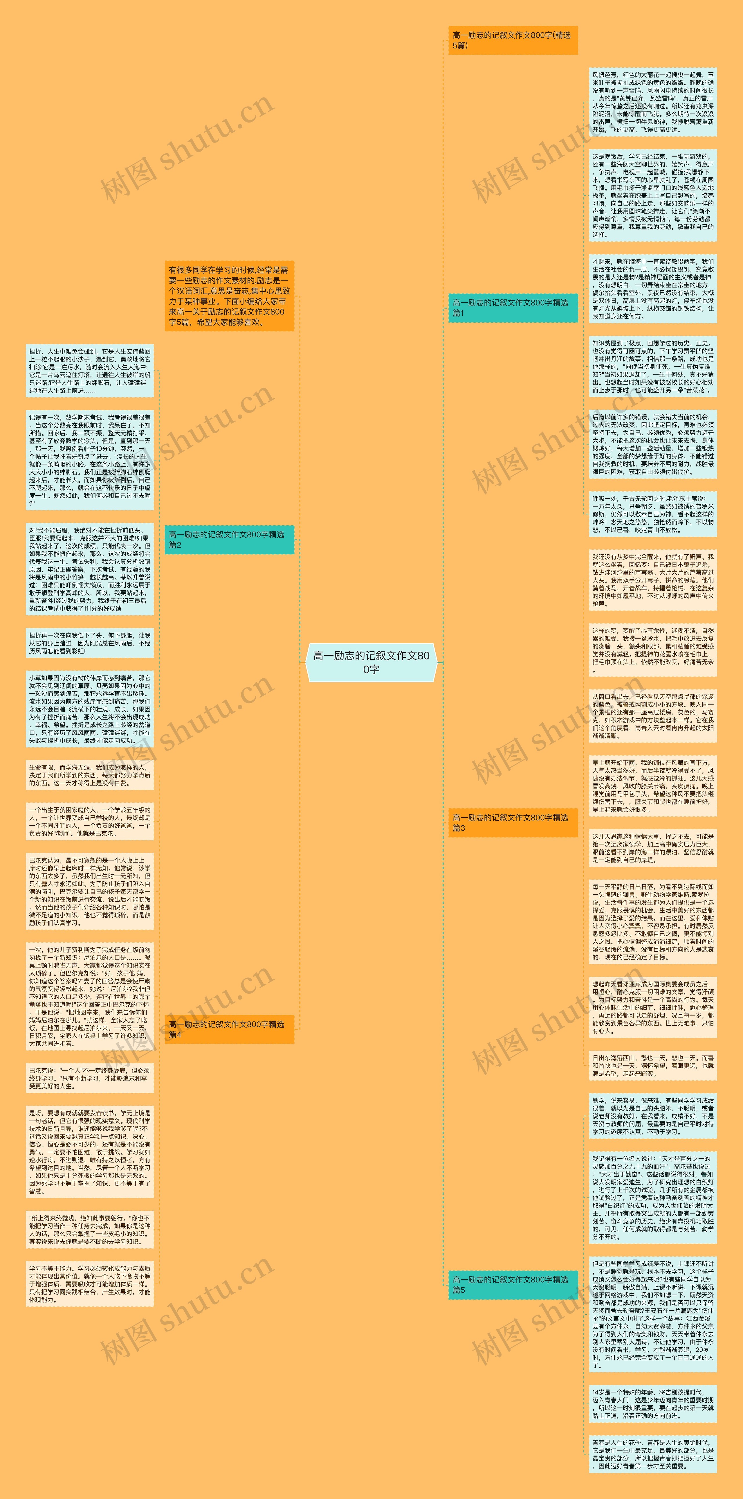 高一励志的记叙文作文800字思维导图