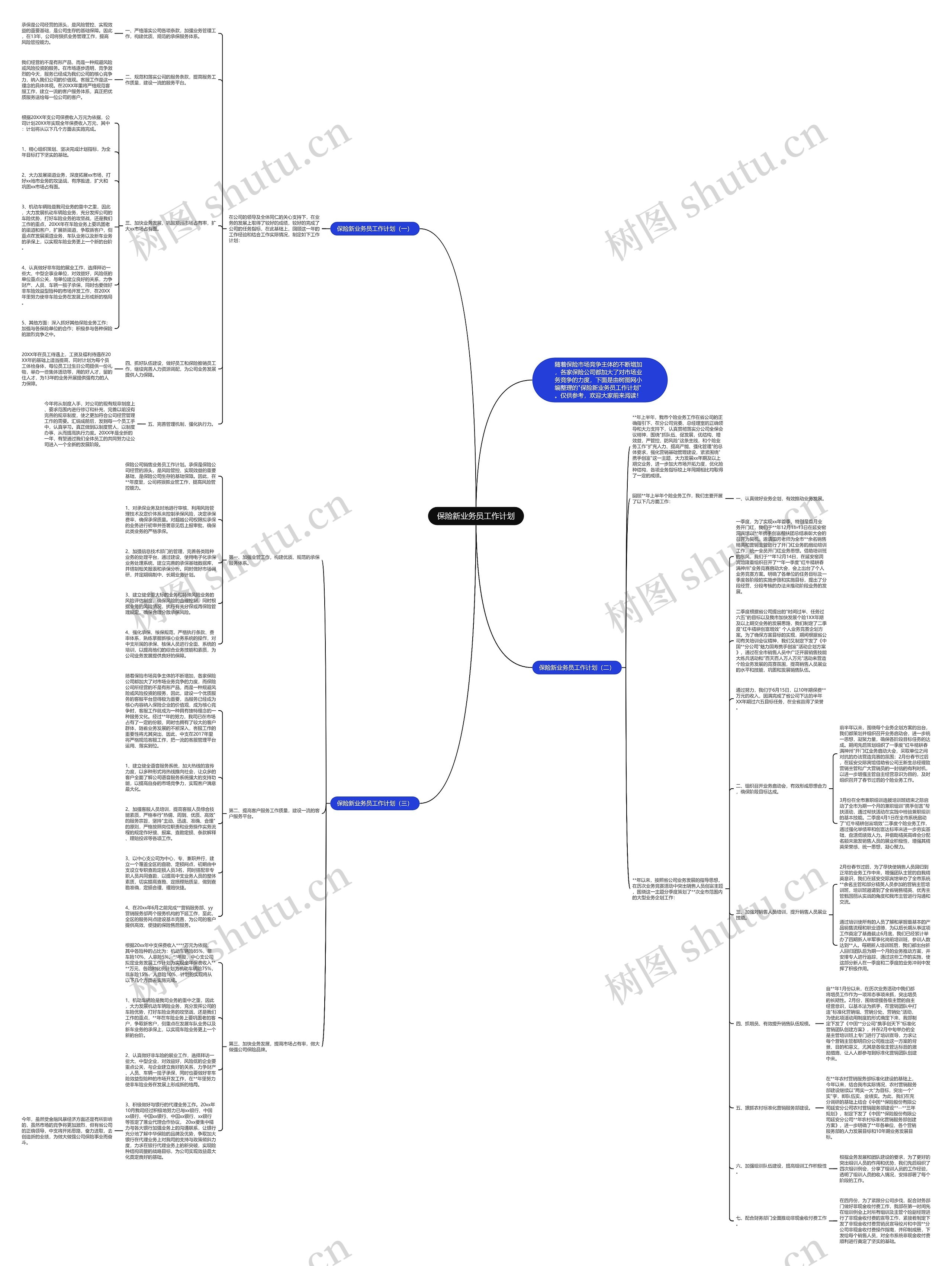 保险新业务员工作计划思维导图