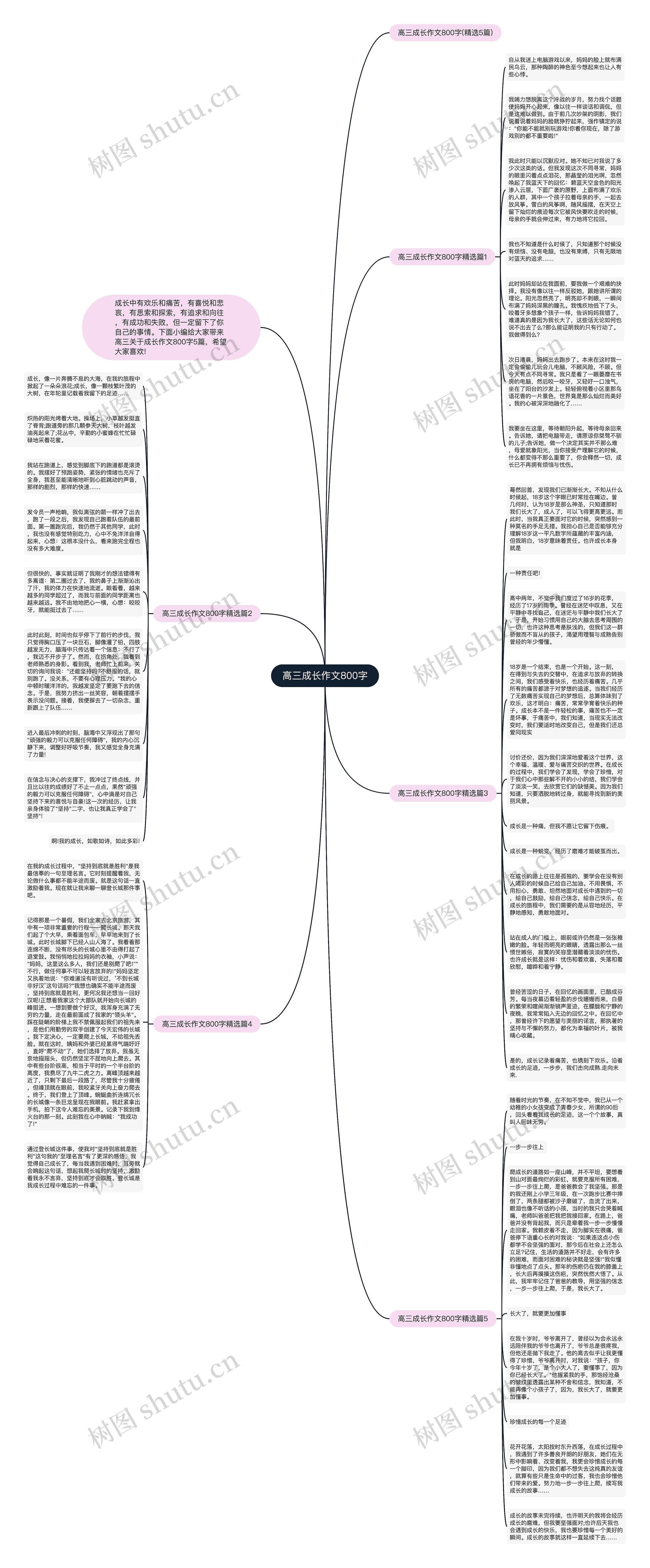 高三成长作文800字思维导图高清图 高三成长作文800字思维导图