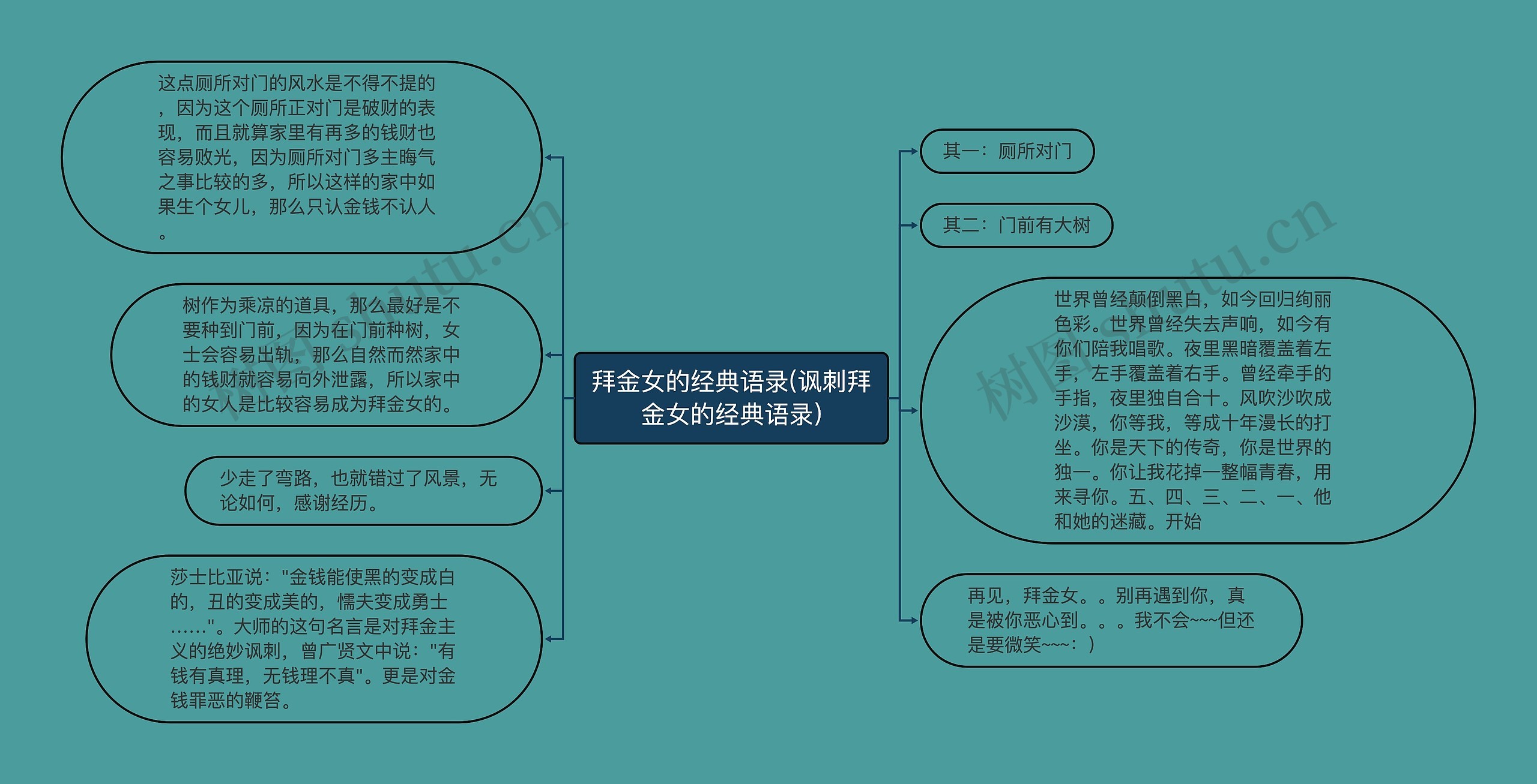 拜金女的经典语录(讽刺拜金女的经典语录)思维导图