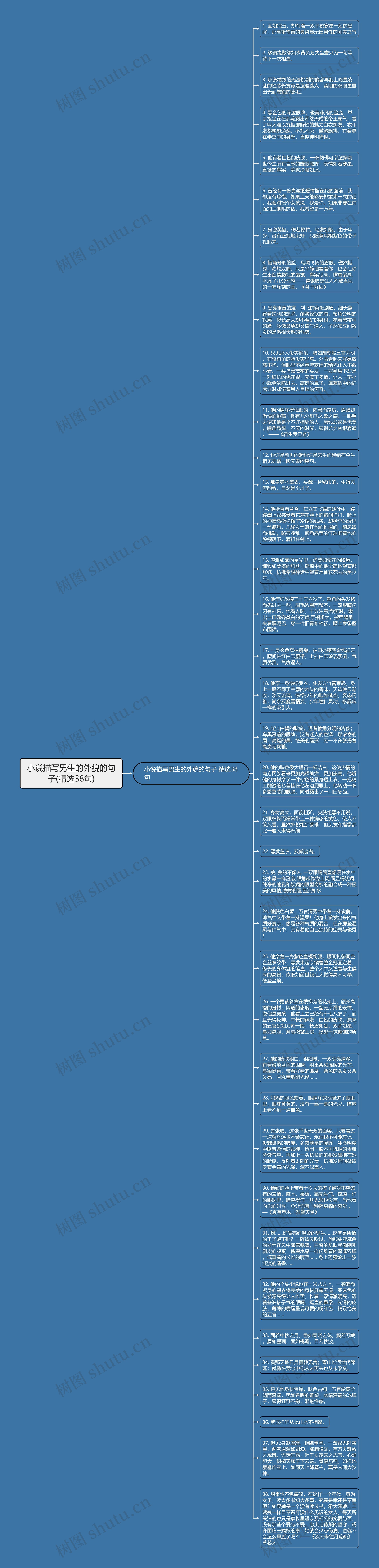 小说描写男生的外貌的句子(精选38句)思维导图