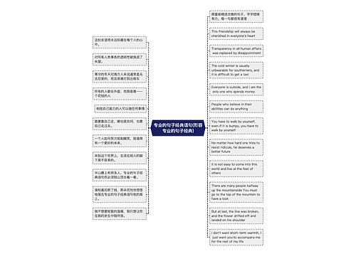 专业的句子经典语句(形容专业的句子经典)