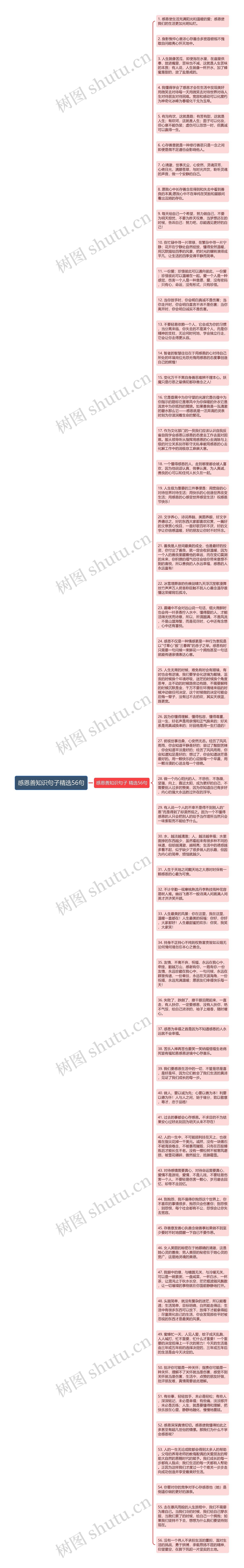 感恩善知识句子精选56句思维导图