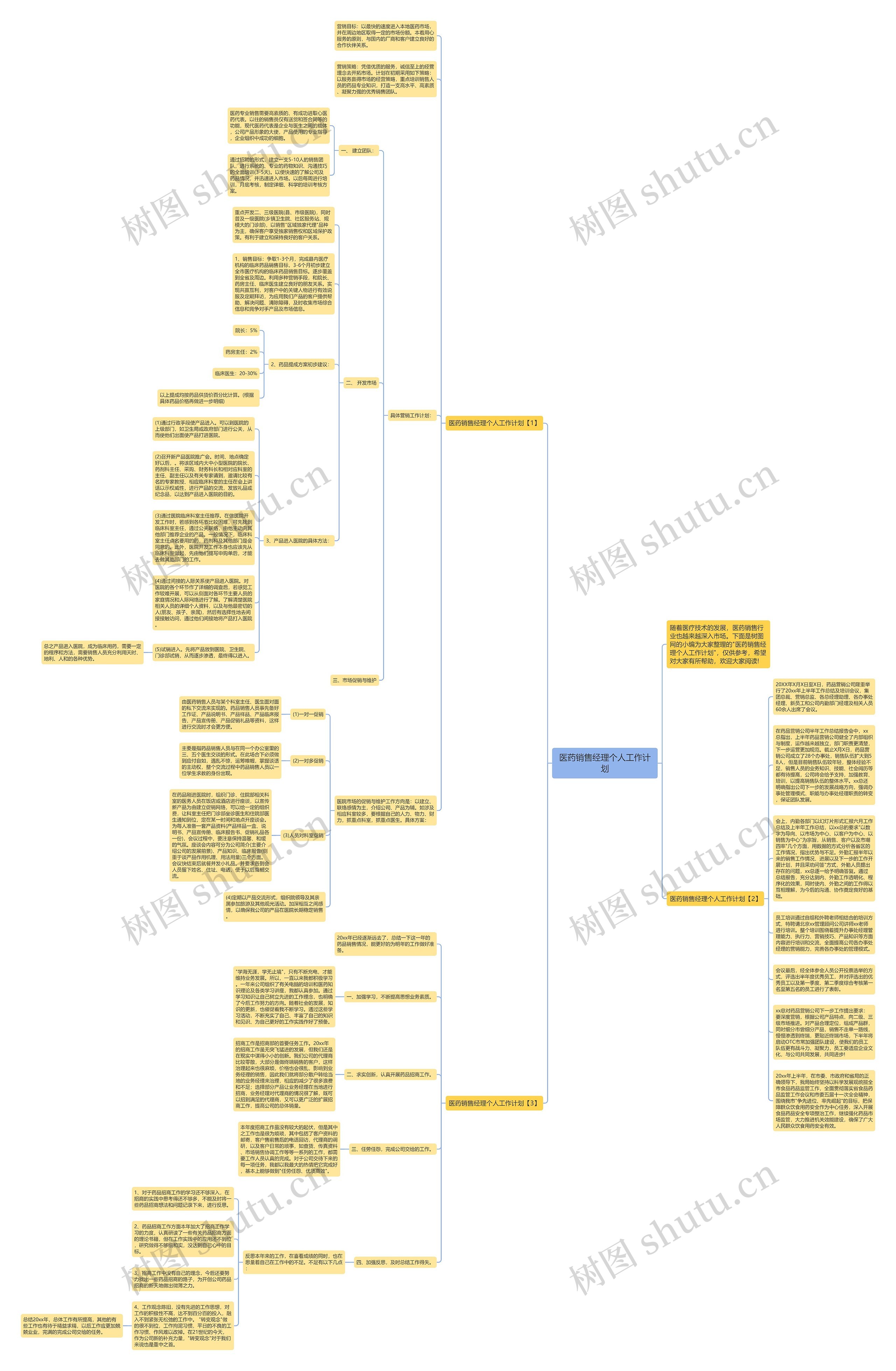 医药销售经理个人工作计划思维导图
