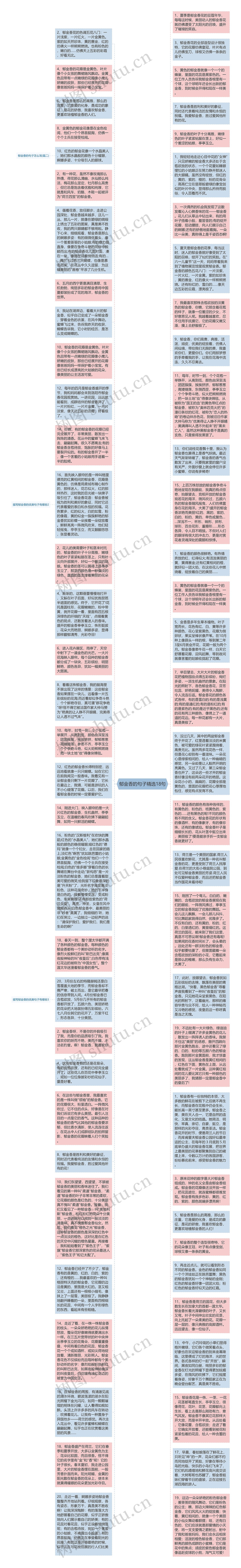 郁金香的句子精选18句思维导图