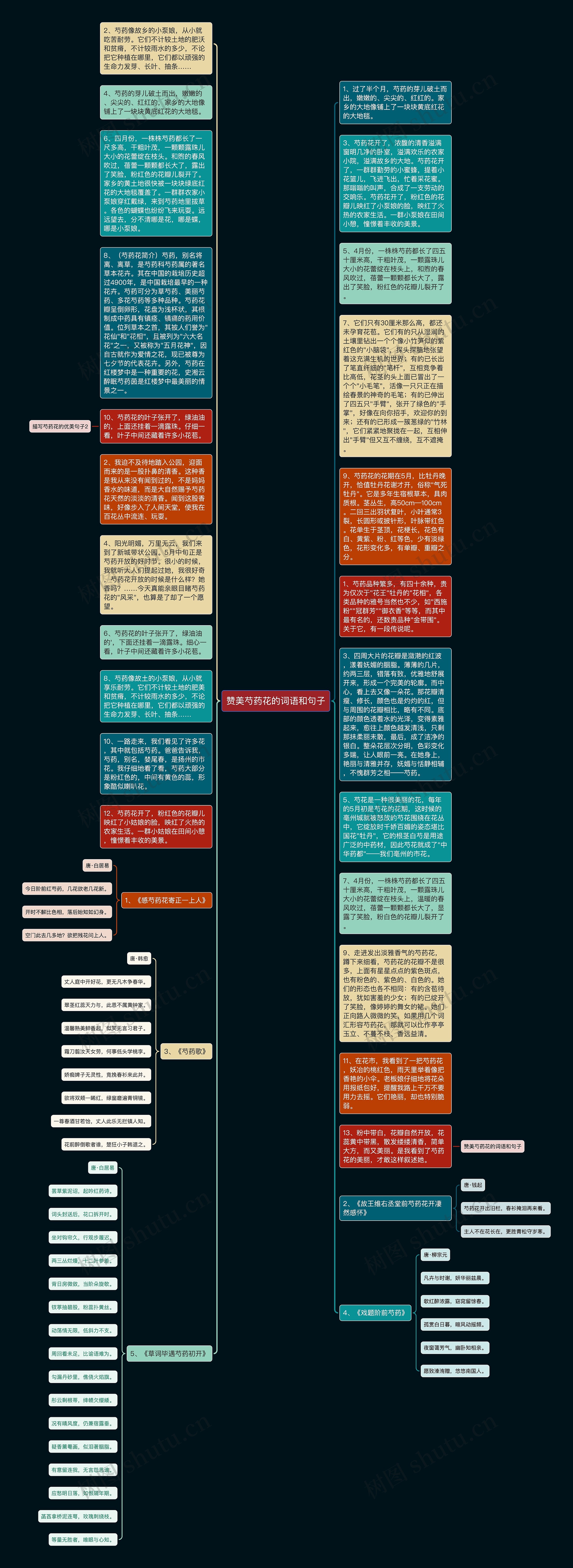 赞美芍药花的词语和句子思维导图
