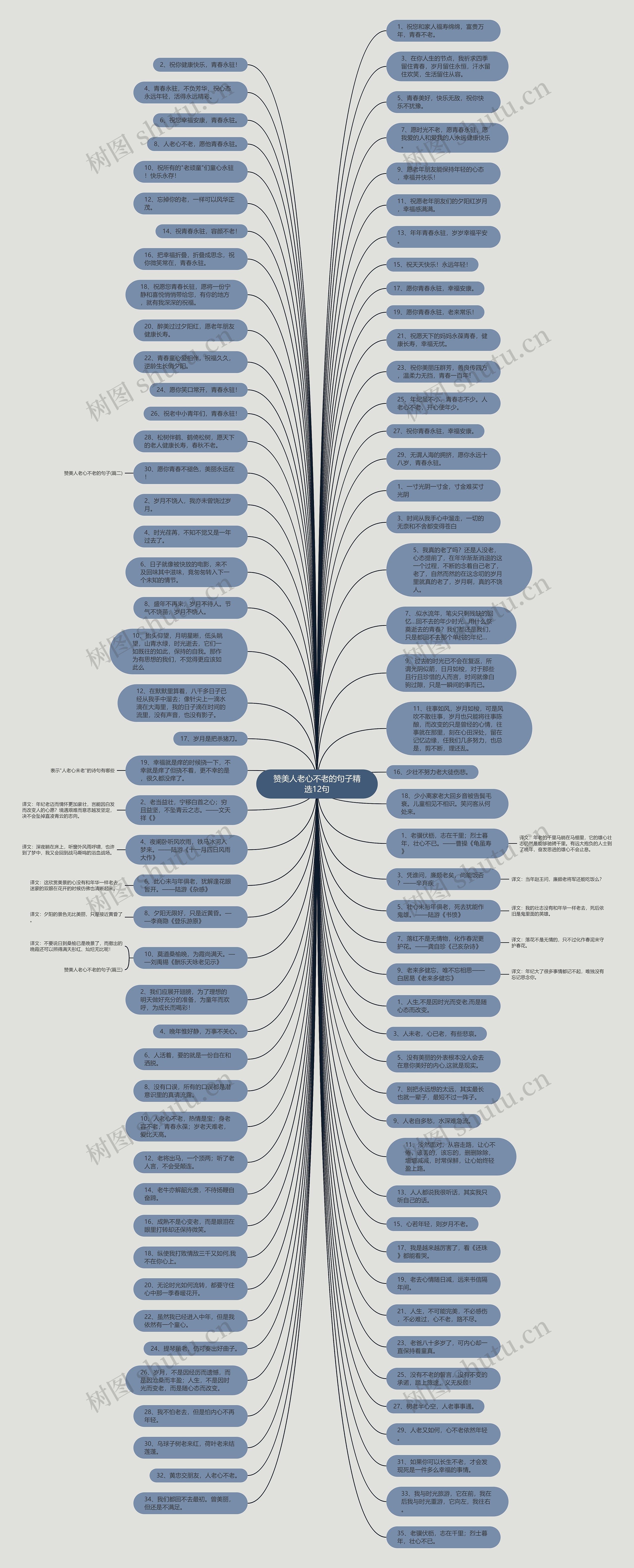 赞美人老心不老的句子精选12句思维导图