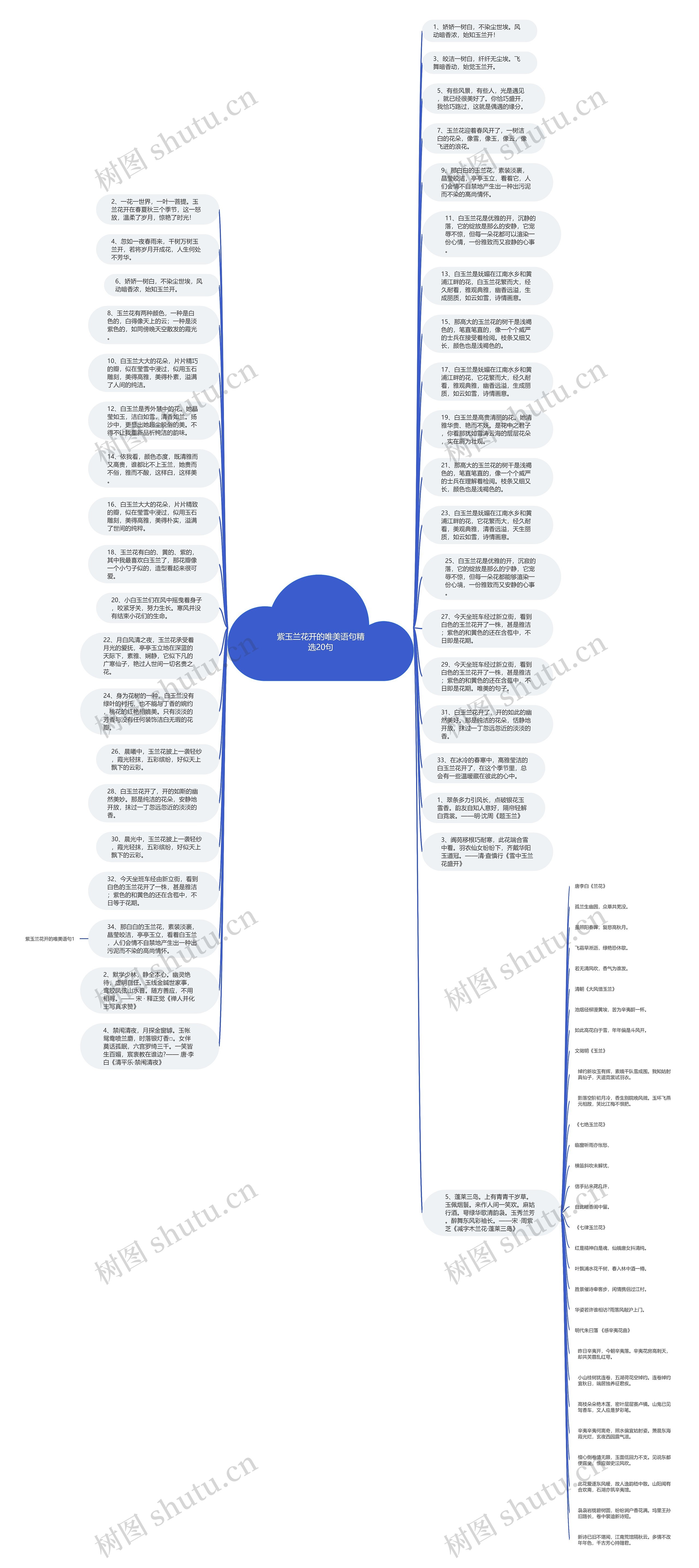 紫玉兰花开的唯美语句精选20句思维导图