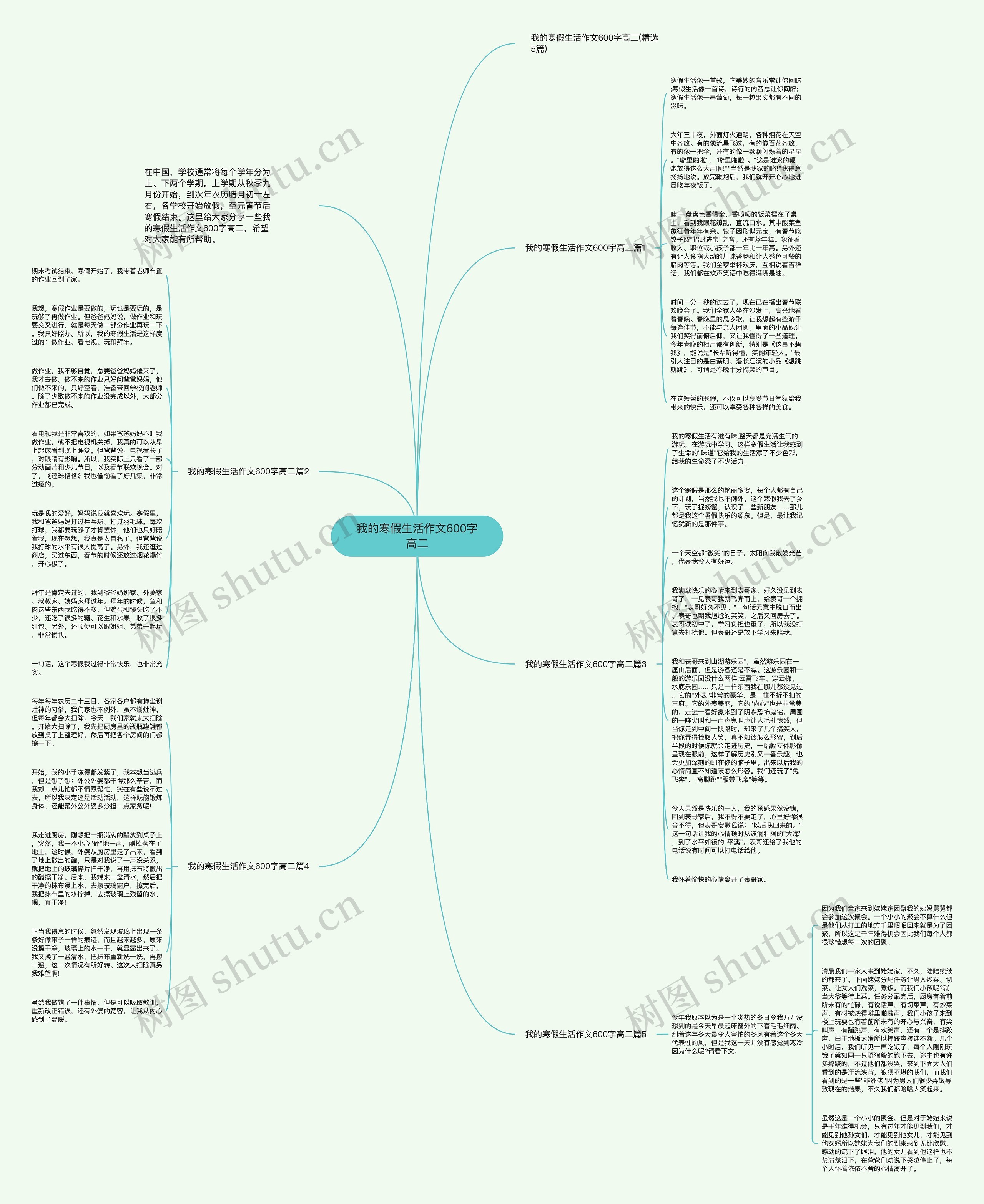 我的寒假生活作文600字高二