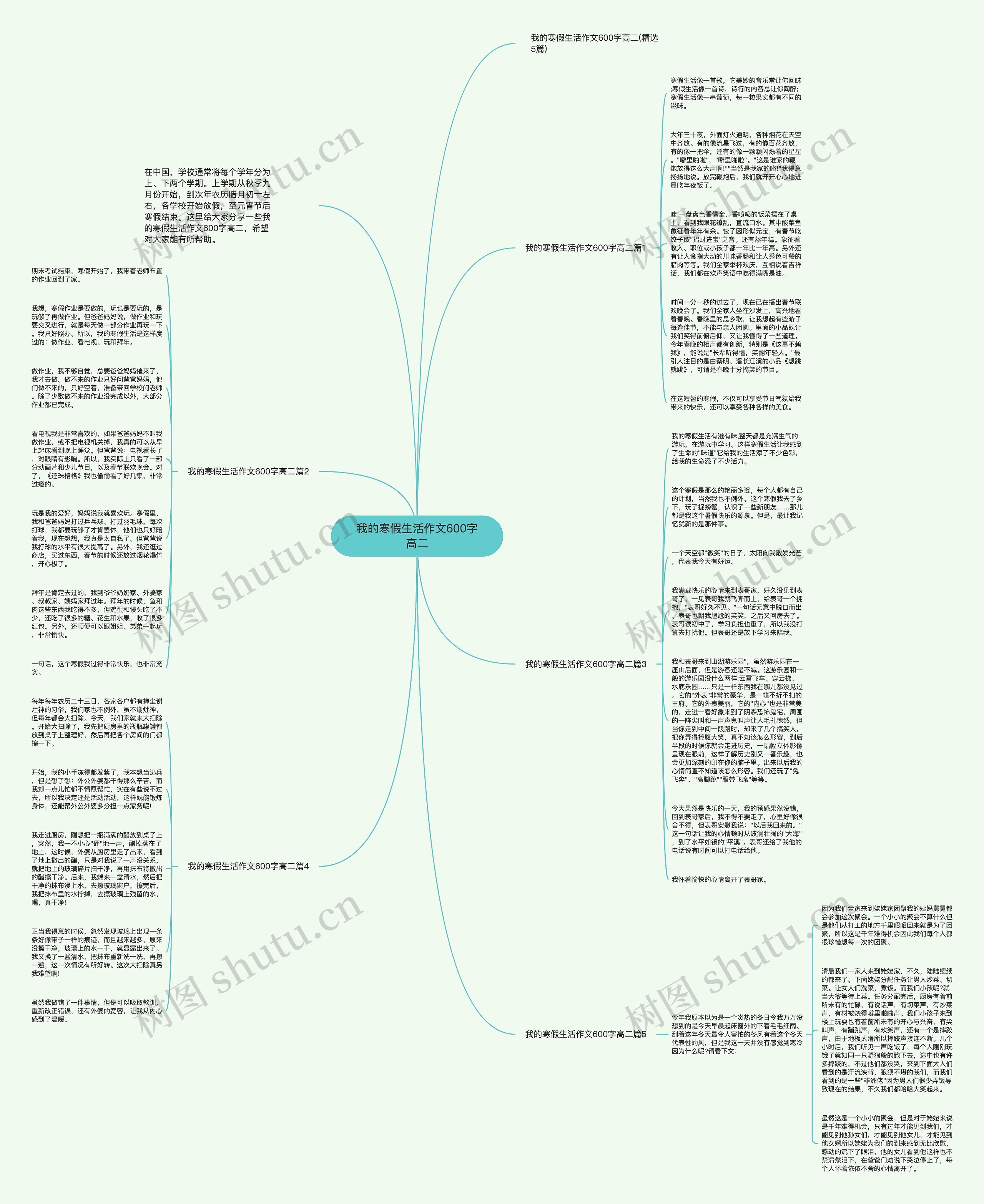 我的寒假生活作文600字高二思维导图高清图 我的寒假生活作文600字高二思维导图