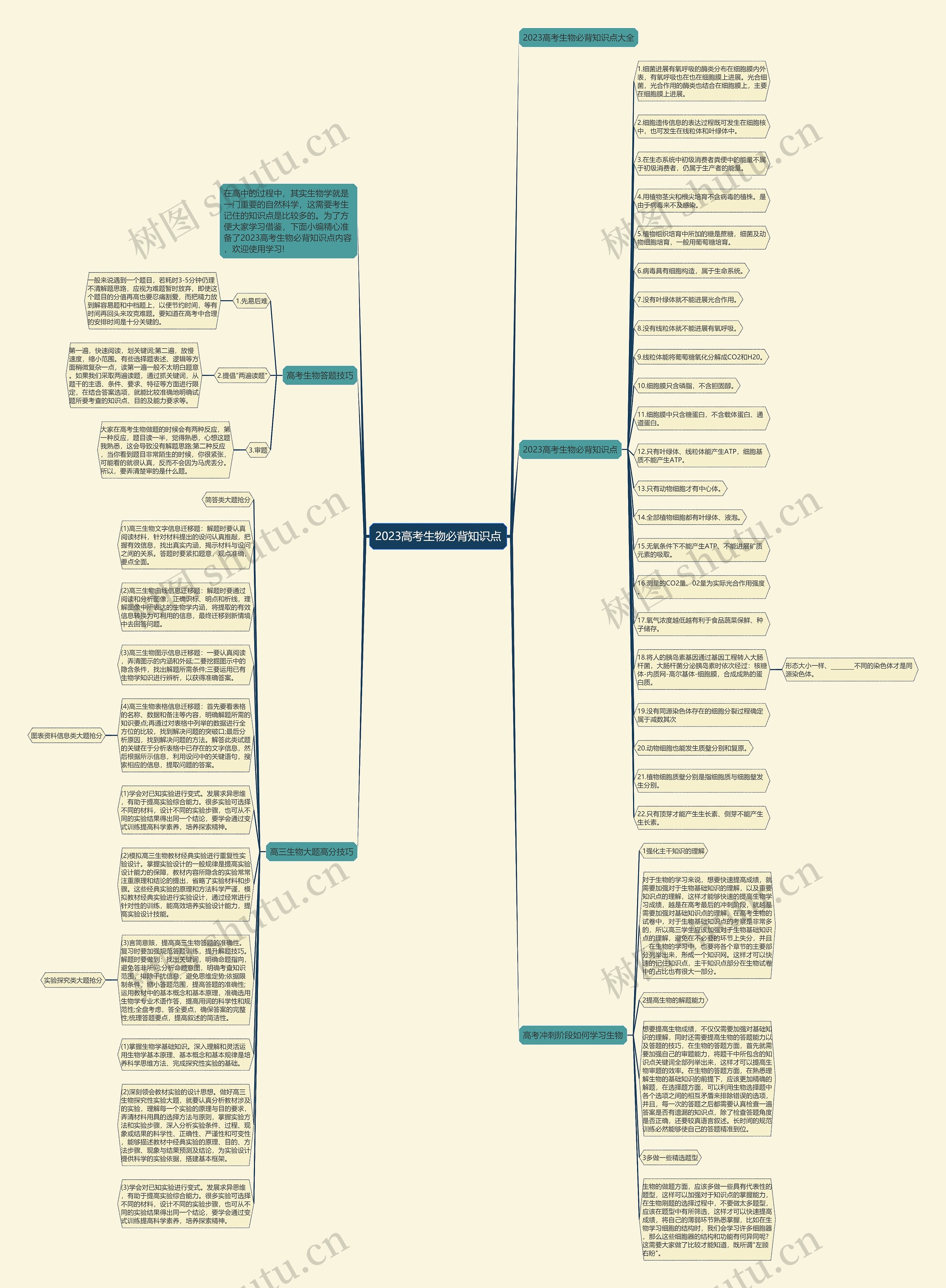 2023高考生物必背知识点思维导图