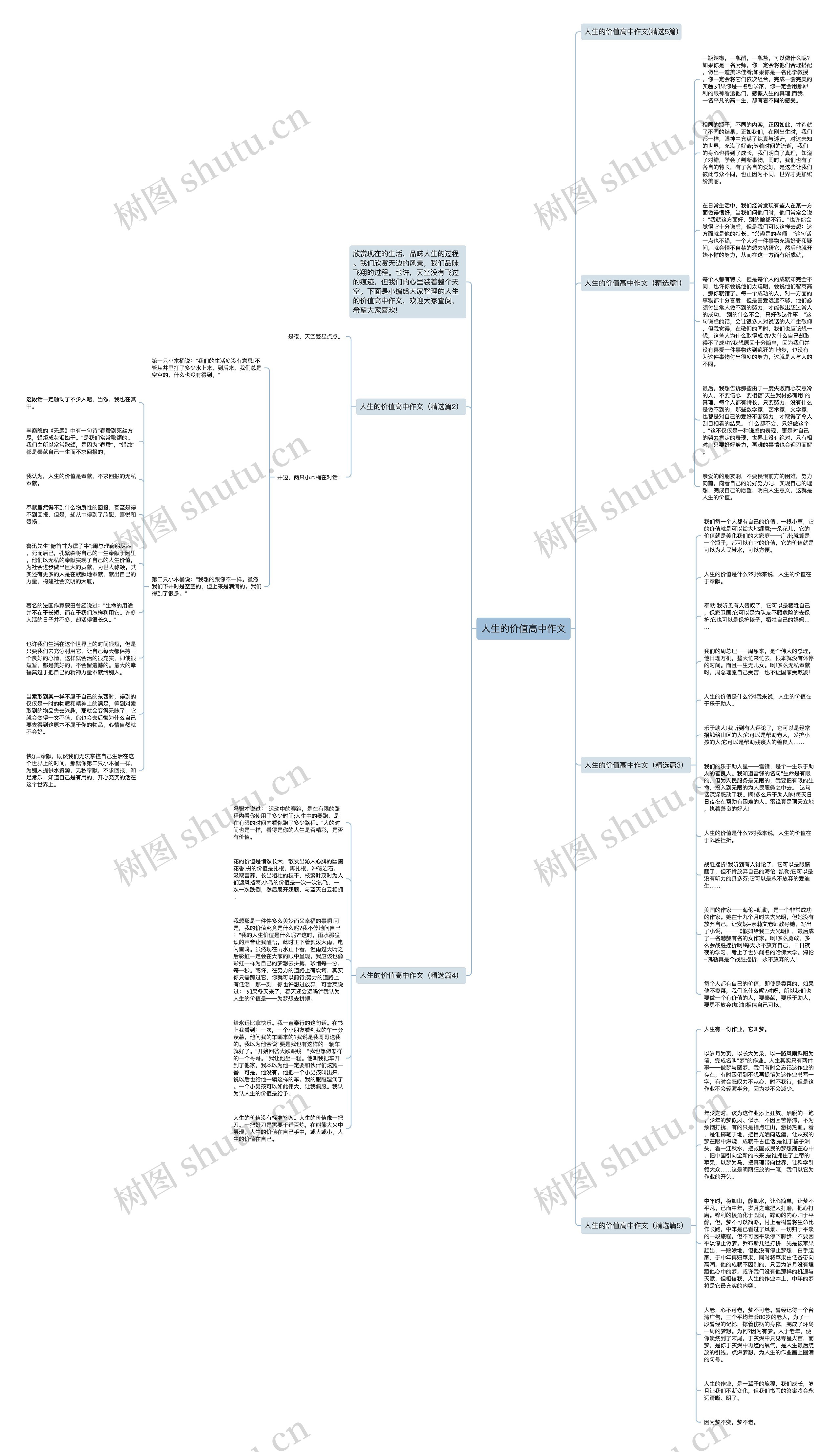 人生的价值高中作文思维导图