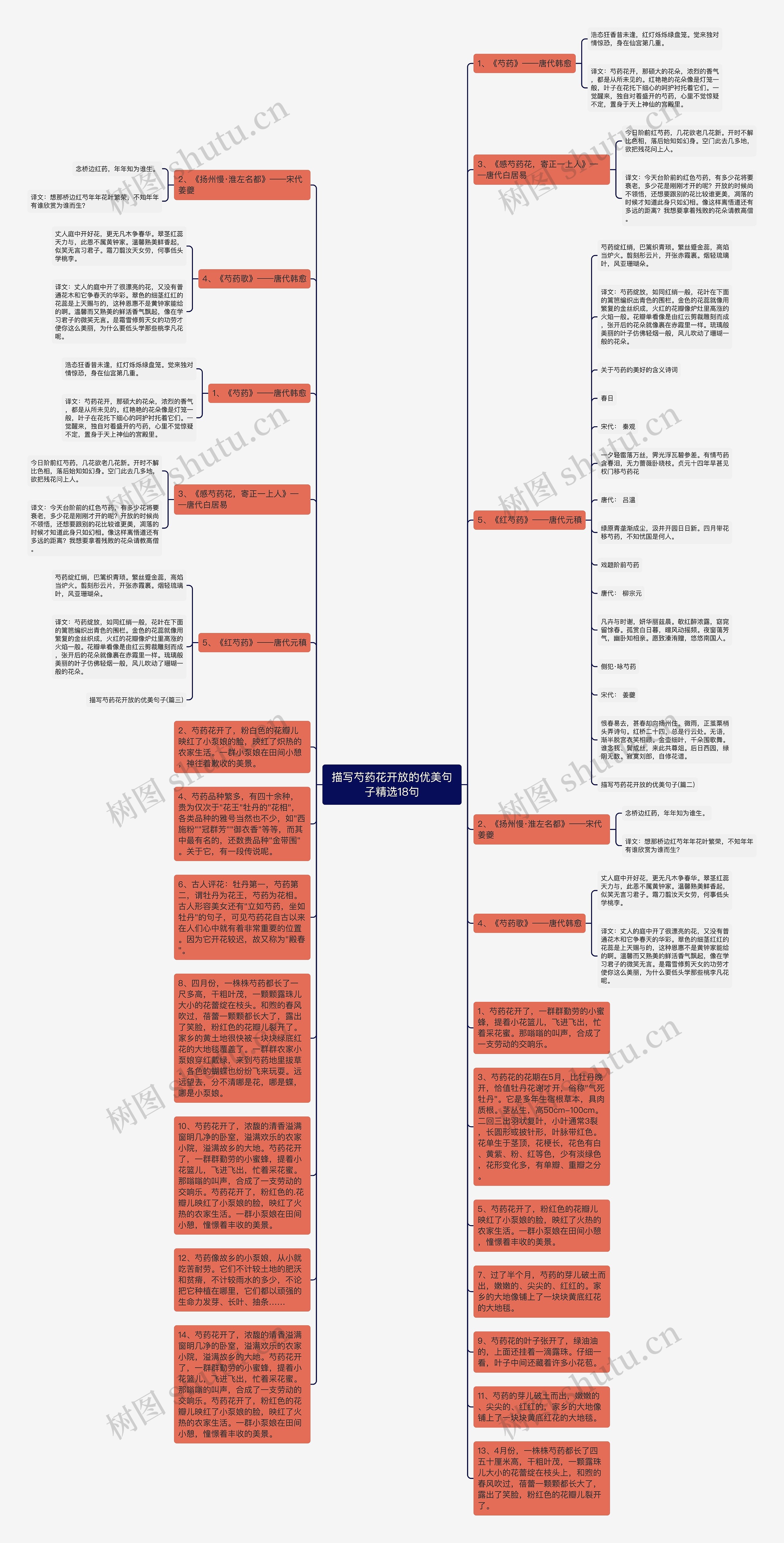 描写芍药花开放的优美句子精选18句思维导图