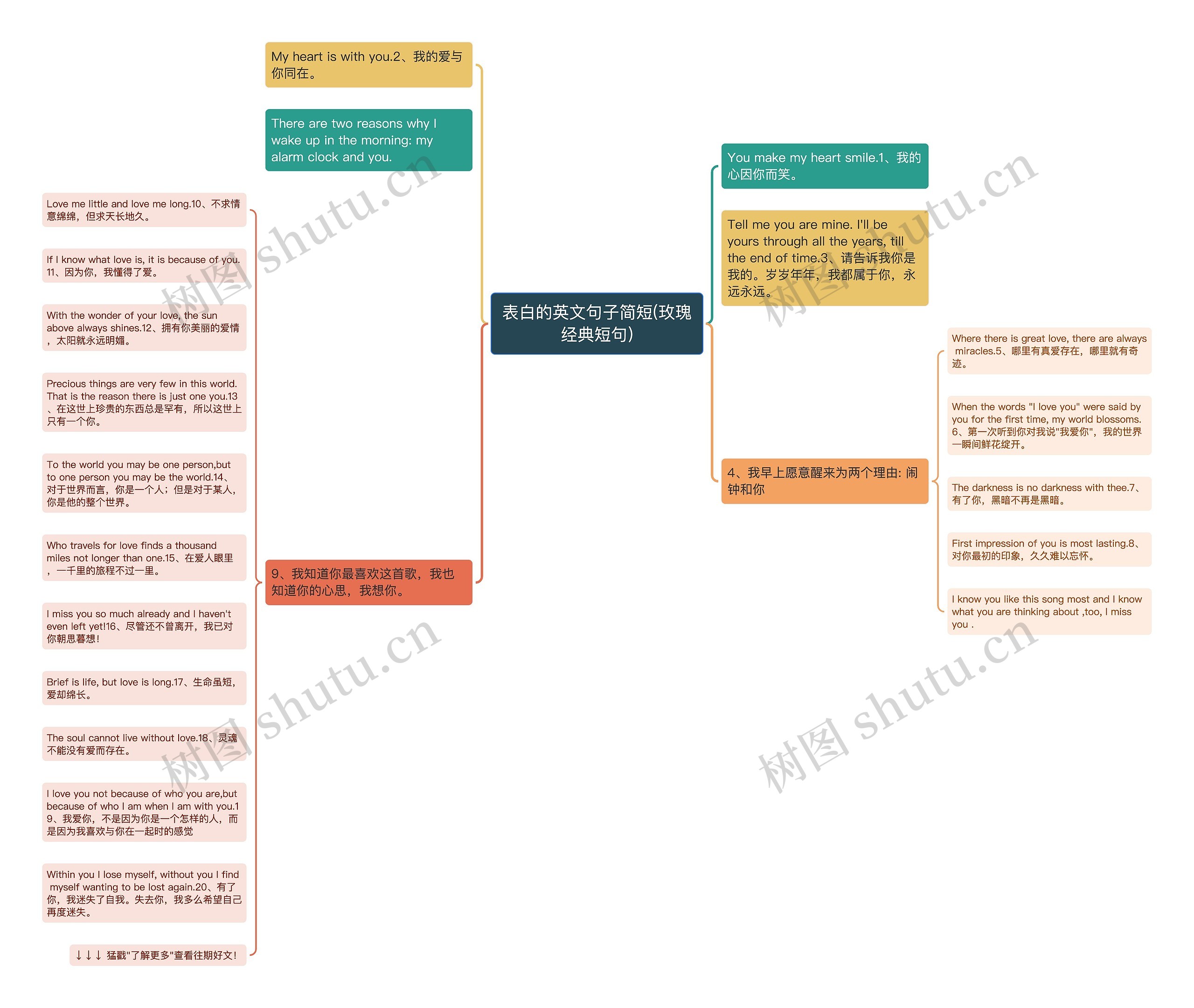 表白的英文句子简短(玫瑰经典短句)思维导图