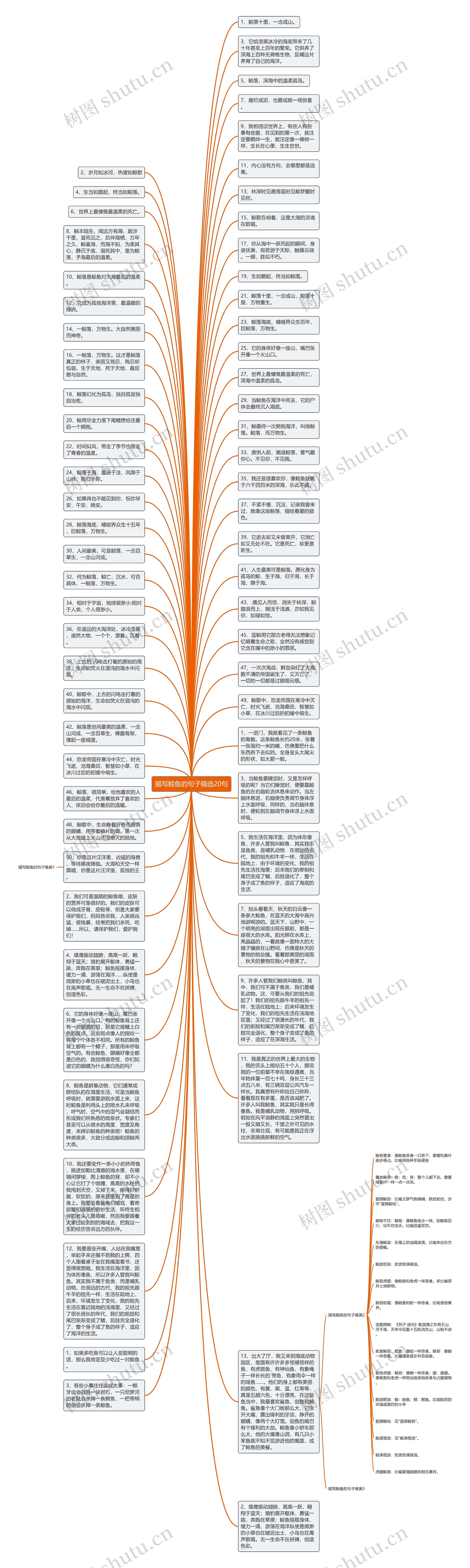 描写鲸鱼的句子精选20句思维导图