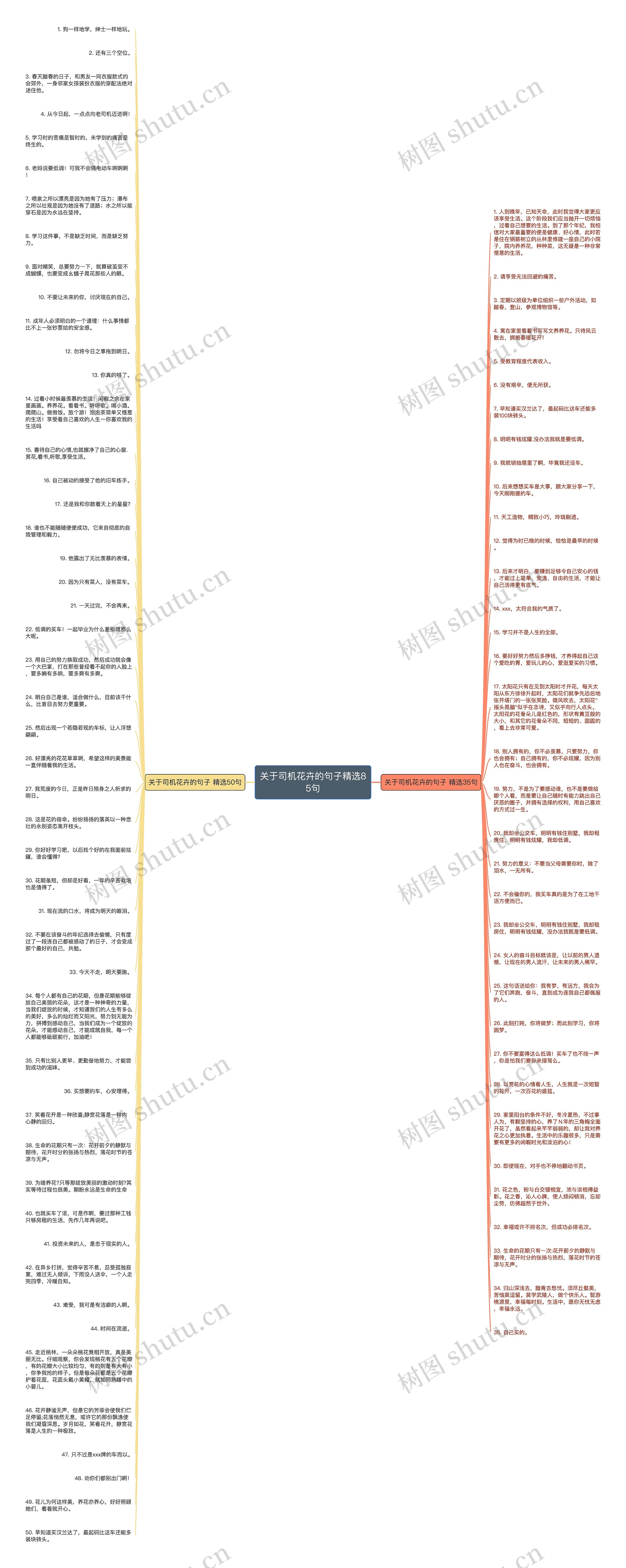 关于司机花卉的句子精选85句思维导图