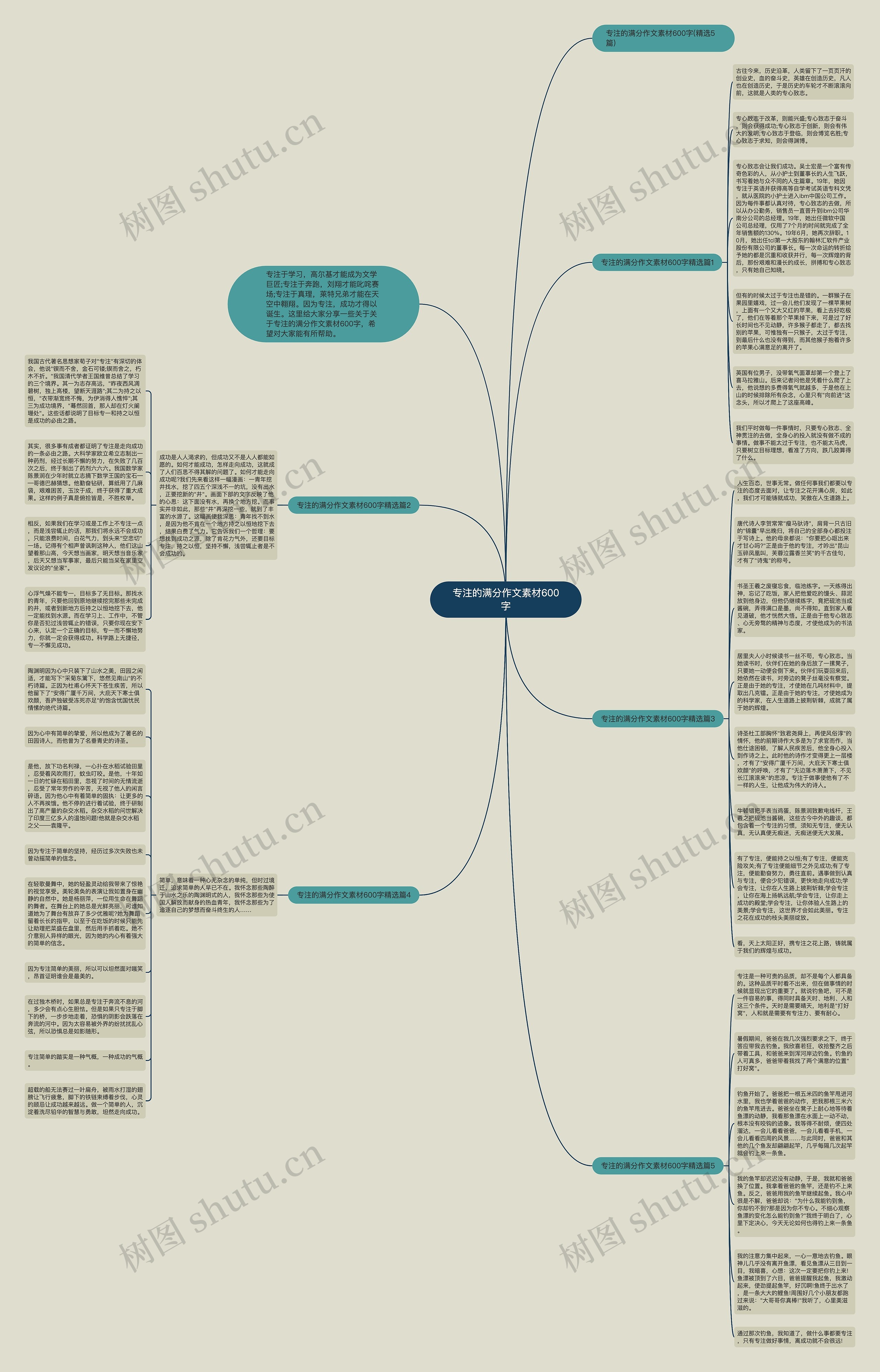 专注的满分作文素材600字思维导图