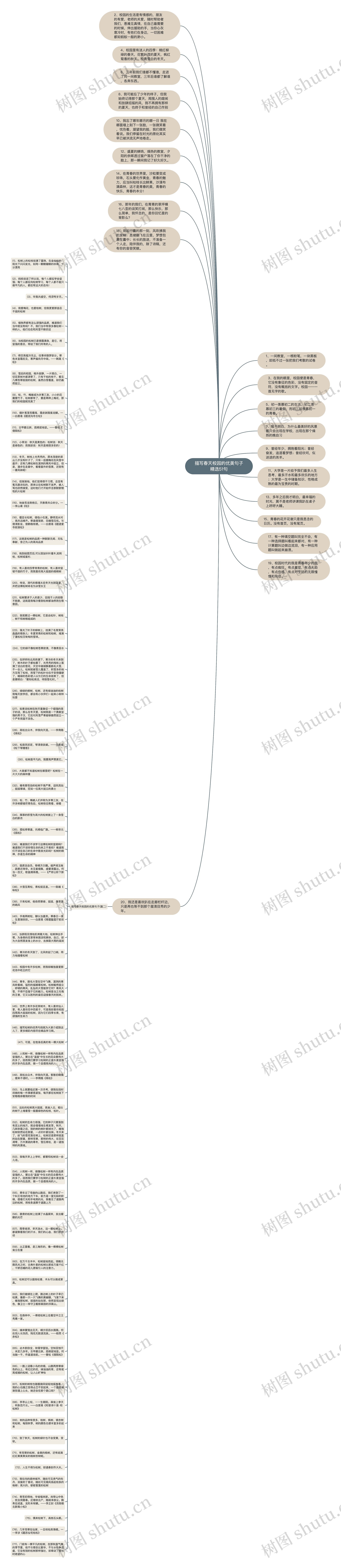 描写春天校园的优美句子精选51句思维导图