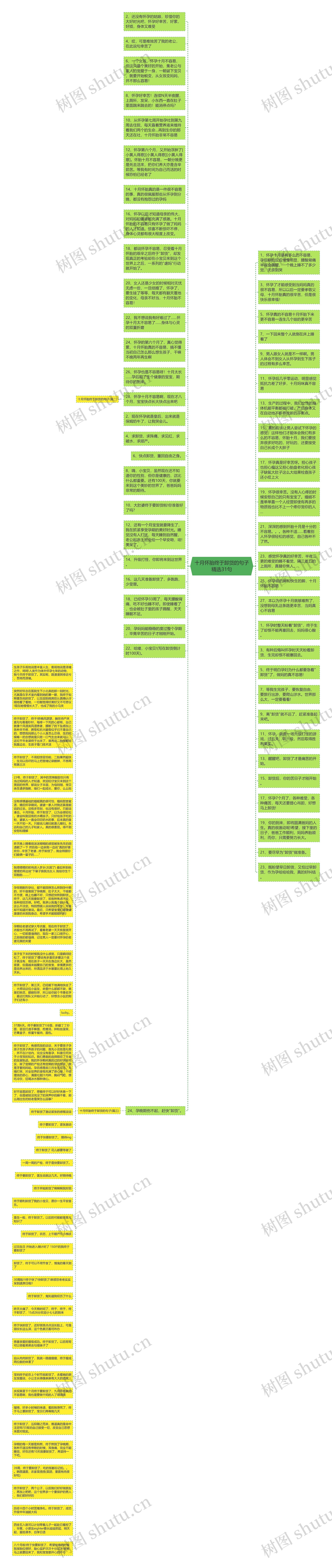 十月怀胎终于卸货的句子精选31句思维导图