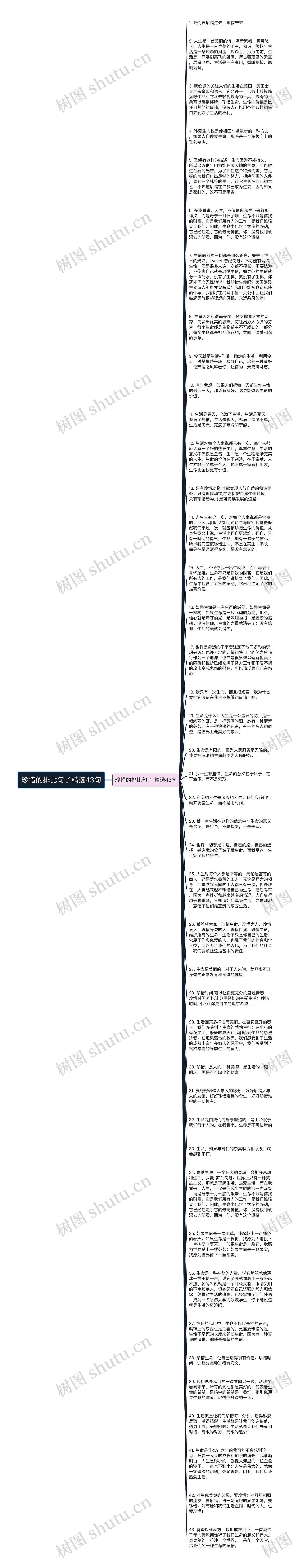 珍惜的排比句子精选43句