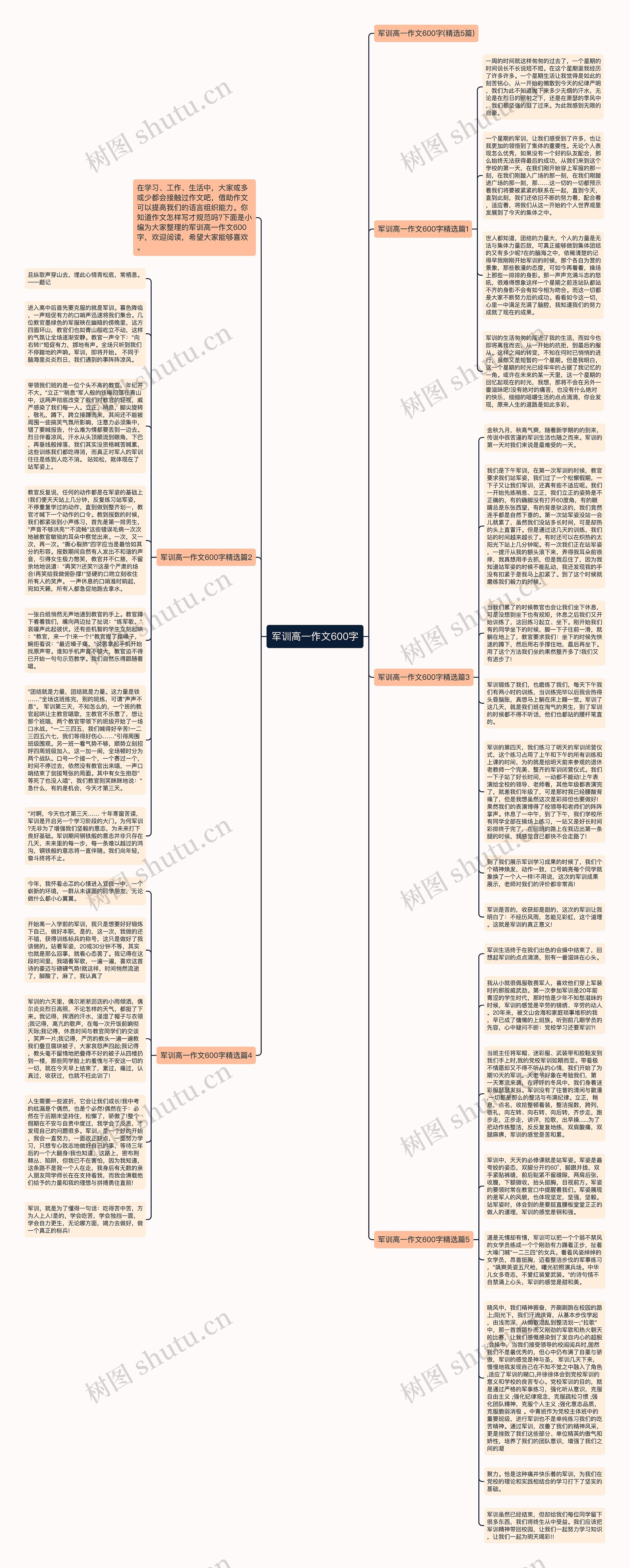 军训高一作文600字思维导图