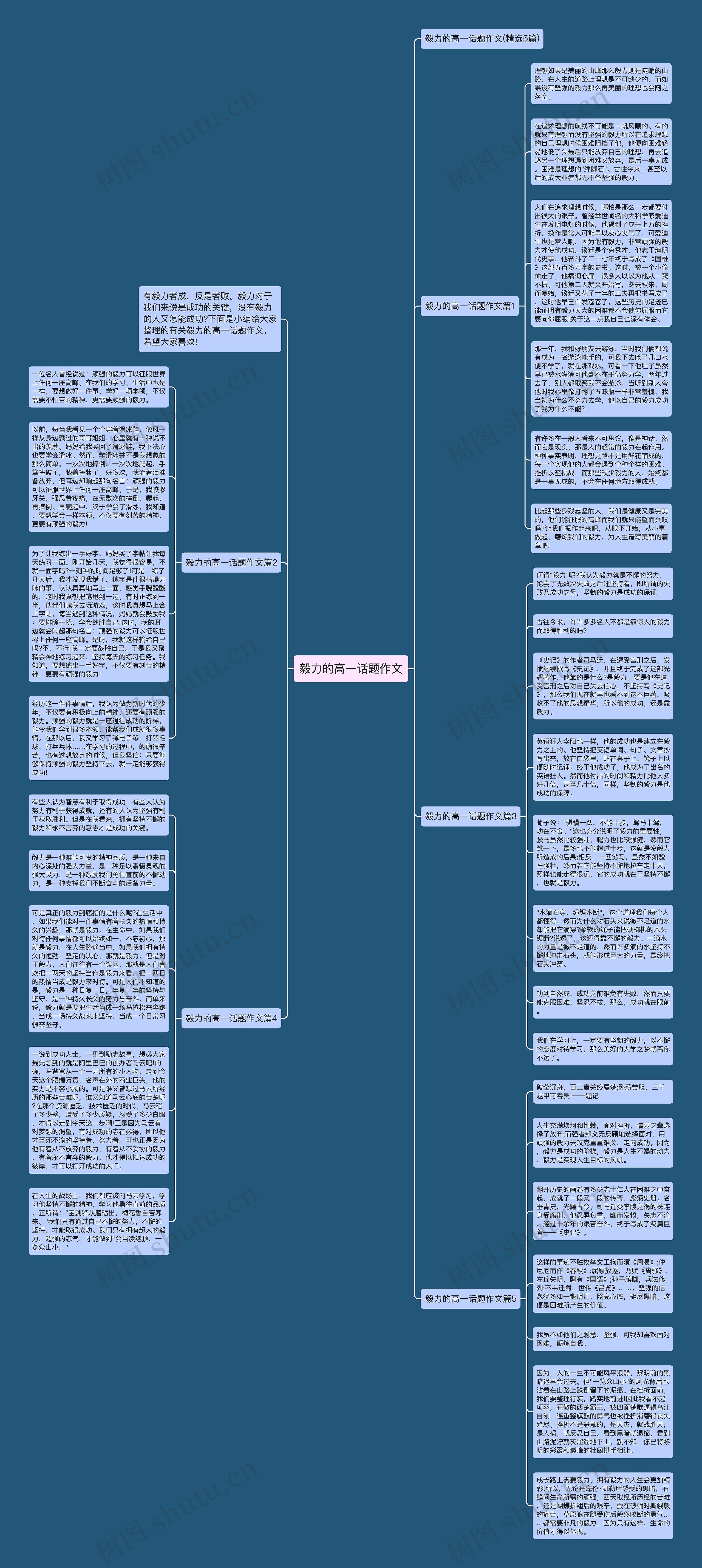 毅力的高一话题作文思维导图