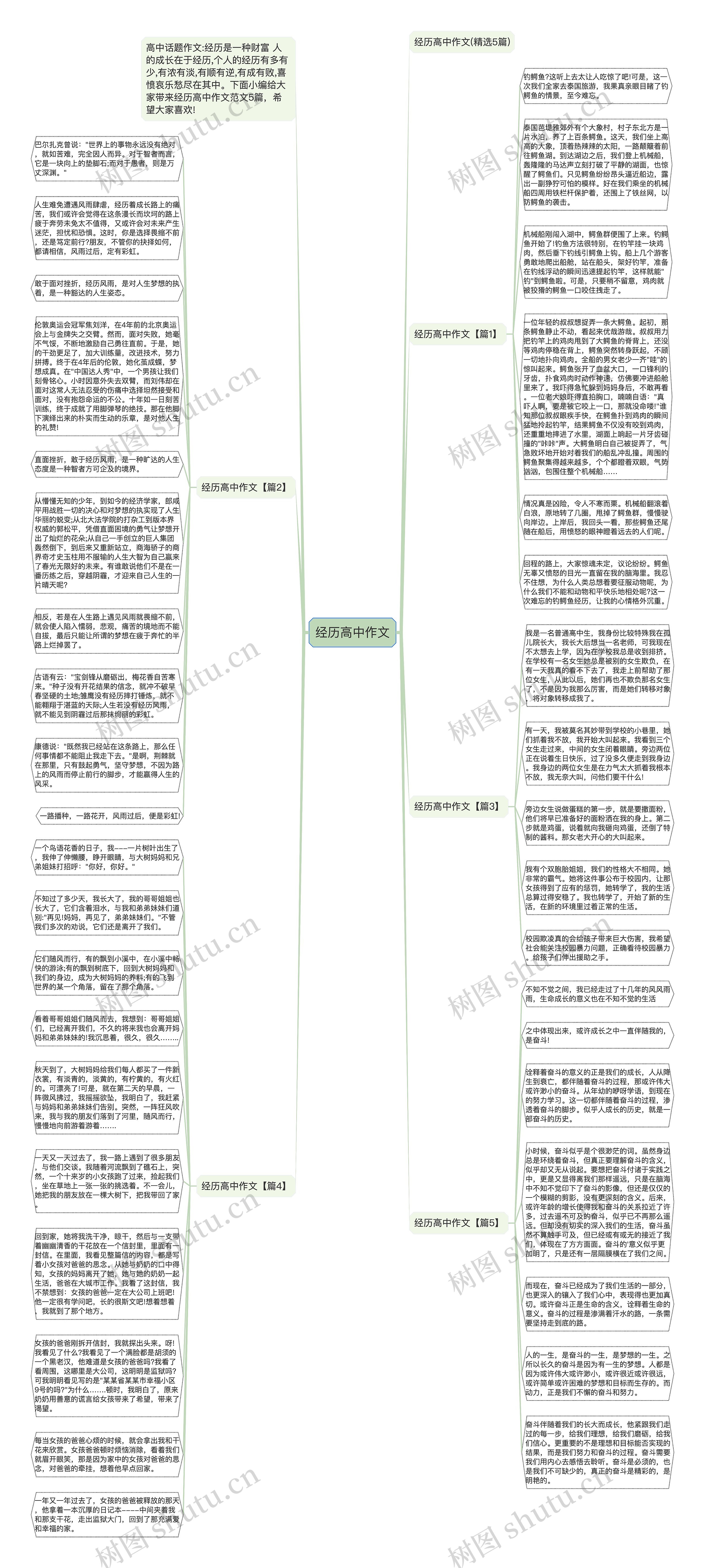 经历高中作文