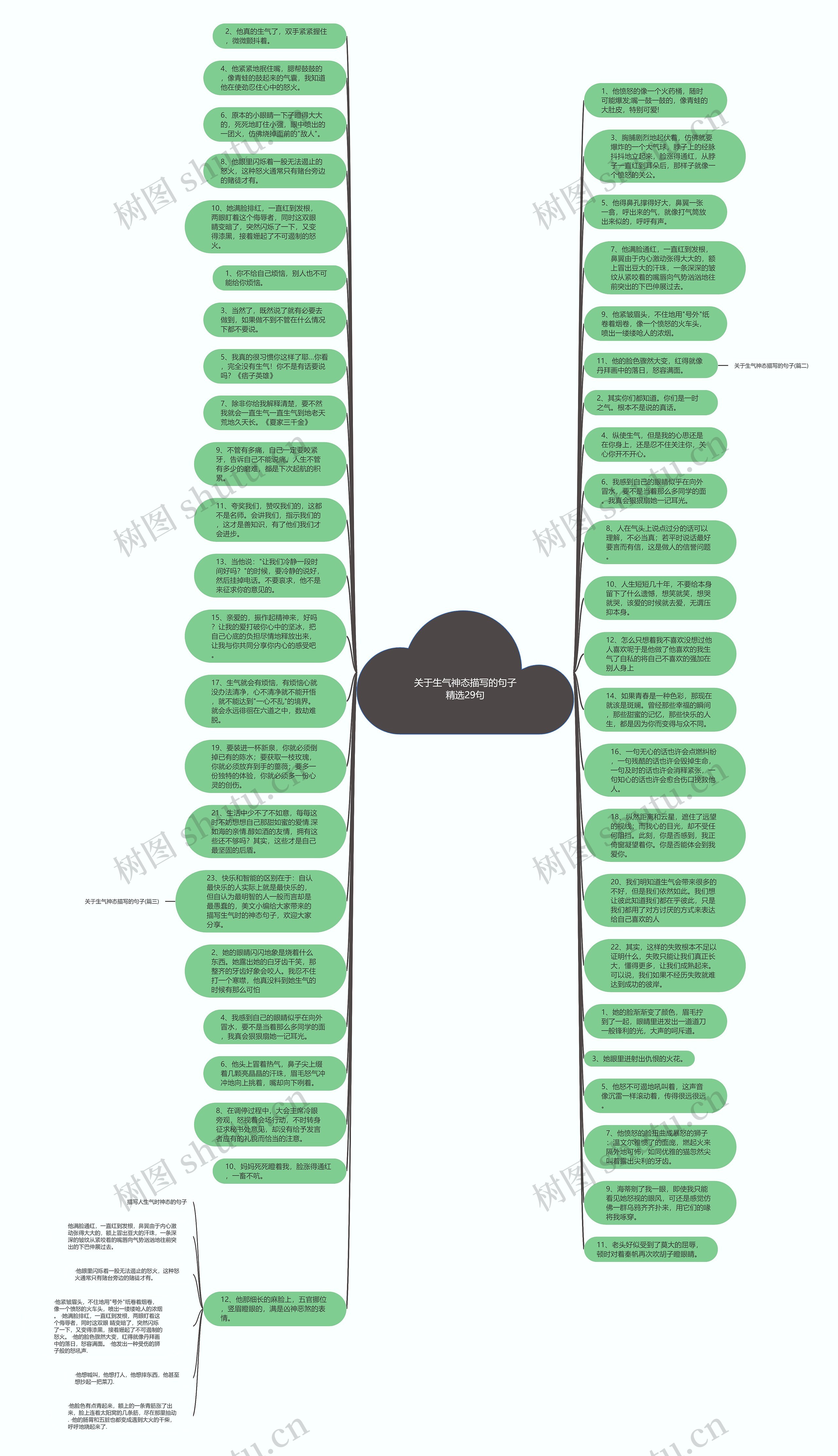 关于生气神态描写的句子精选29句思维导图