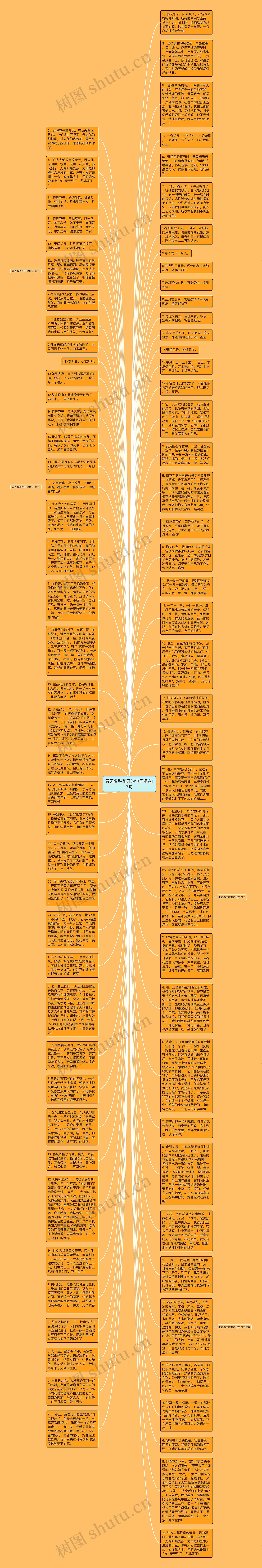 春天各种花开的句子精选17句思维导图