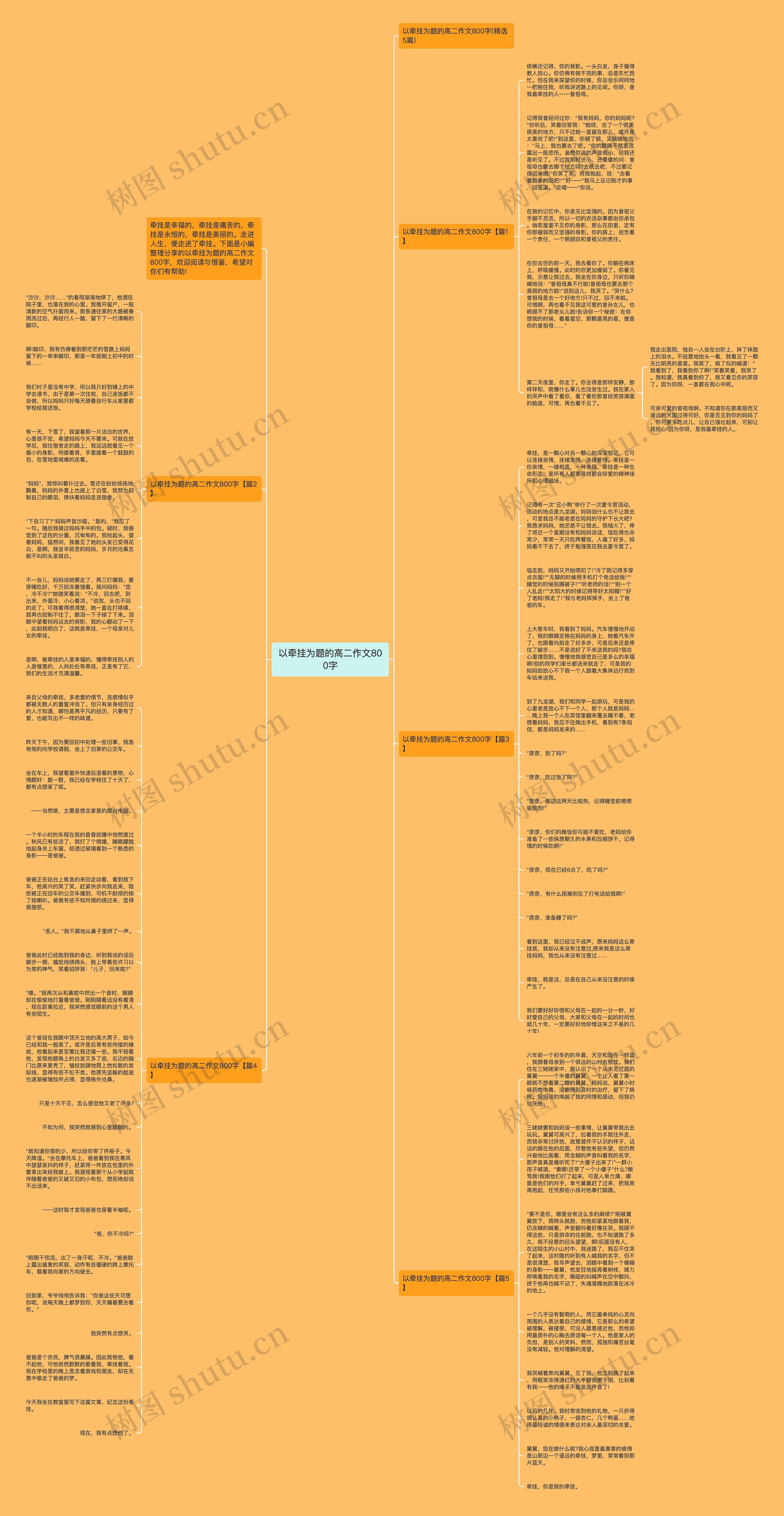 以牵挂为题的高二作文800字思维导图