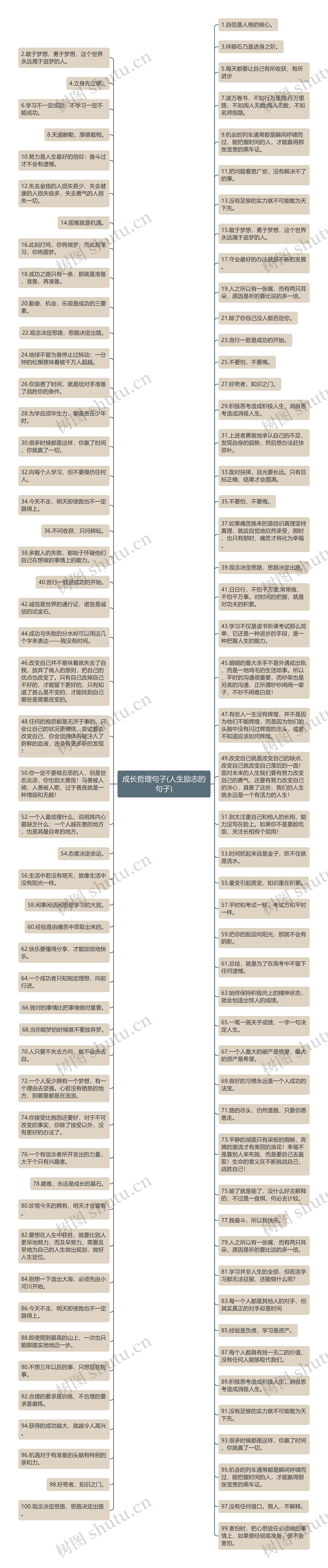 成长哲理句子(人生励志的句子)